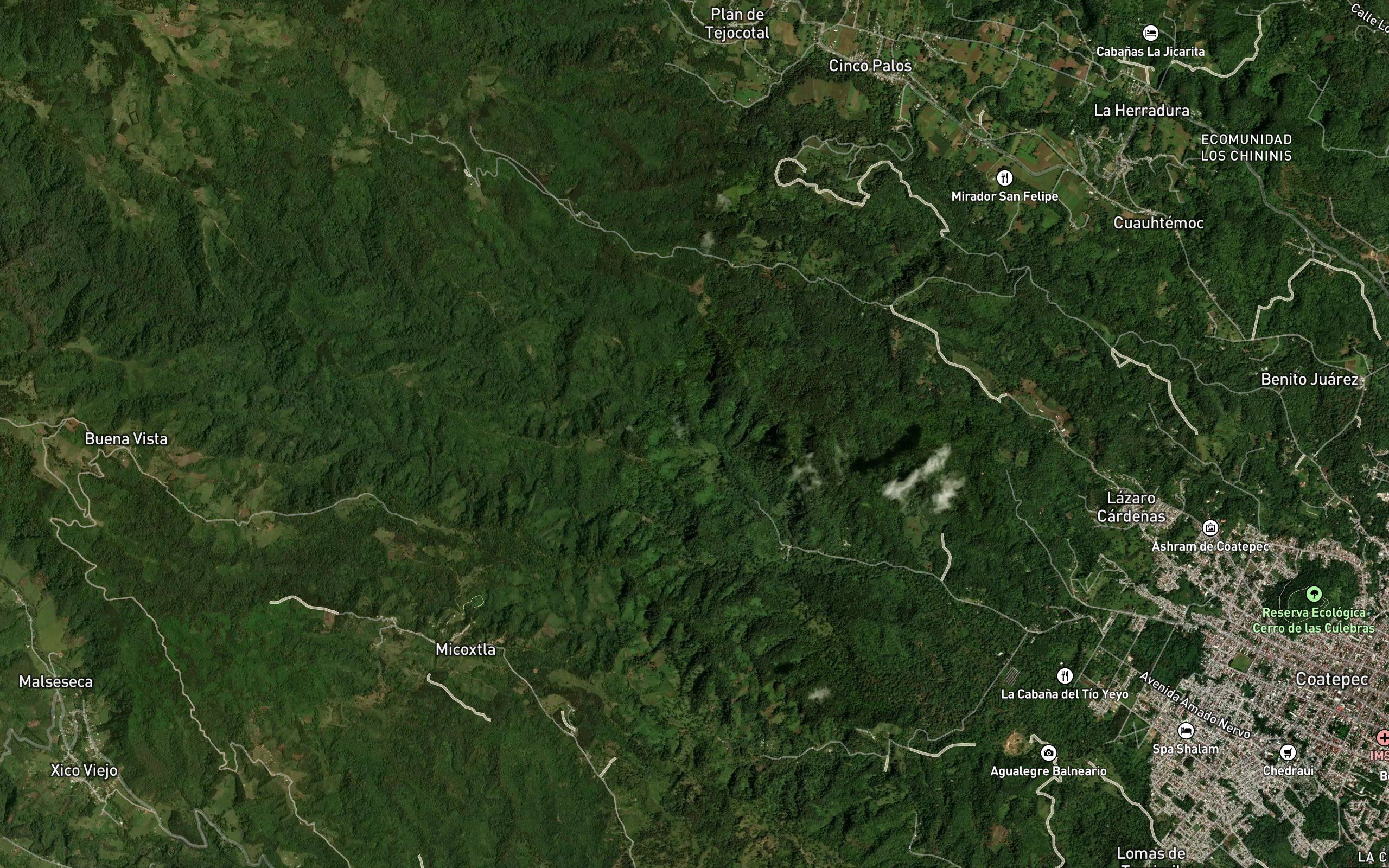 Barranca Cuesta del Pino