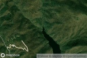 Left Fork Beetree Creek