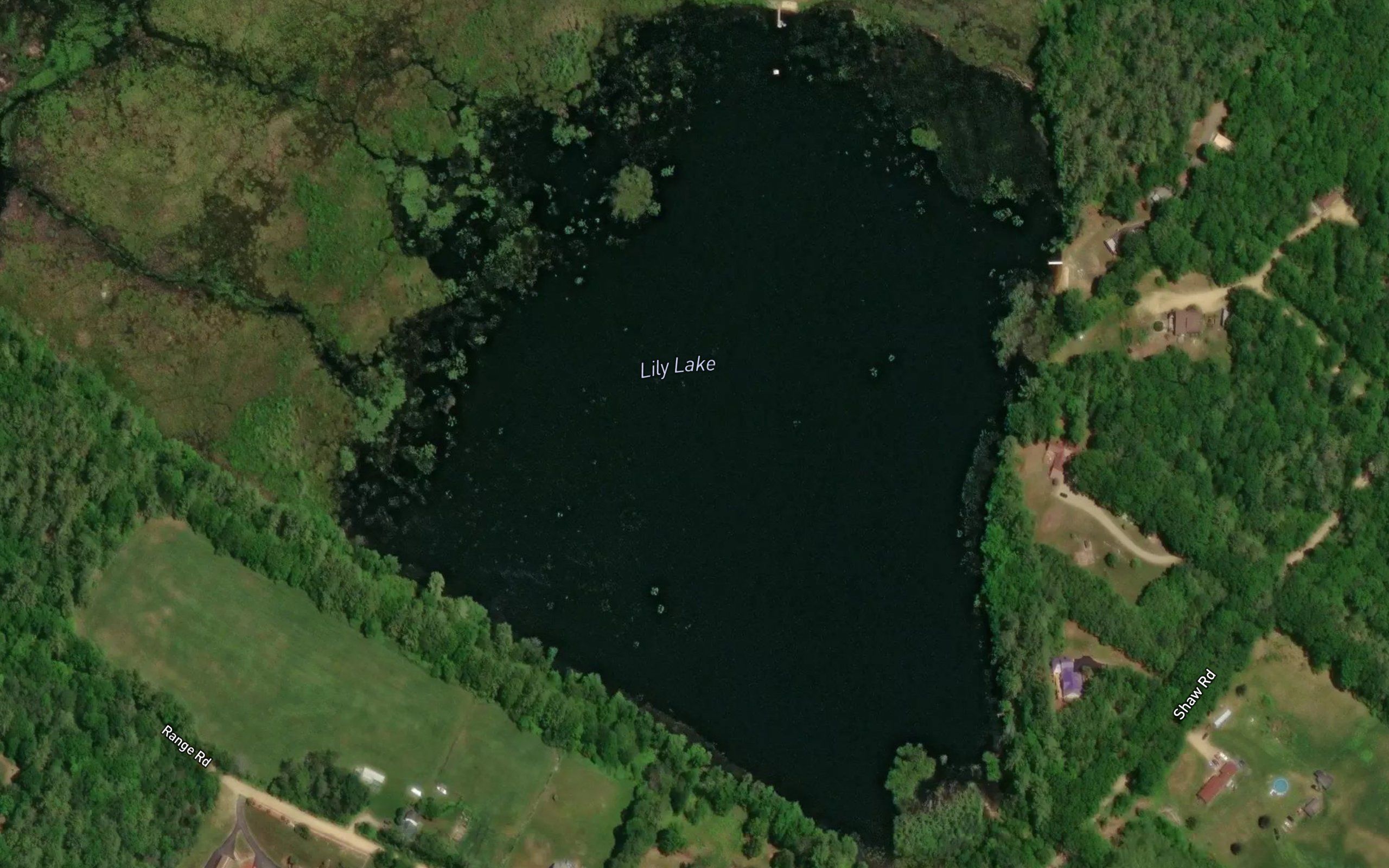 Lily Lake
