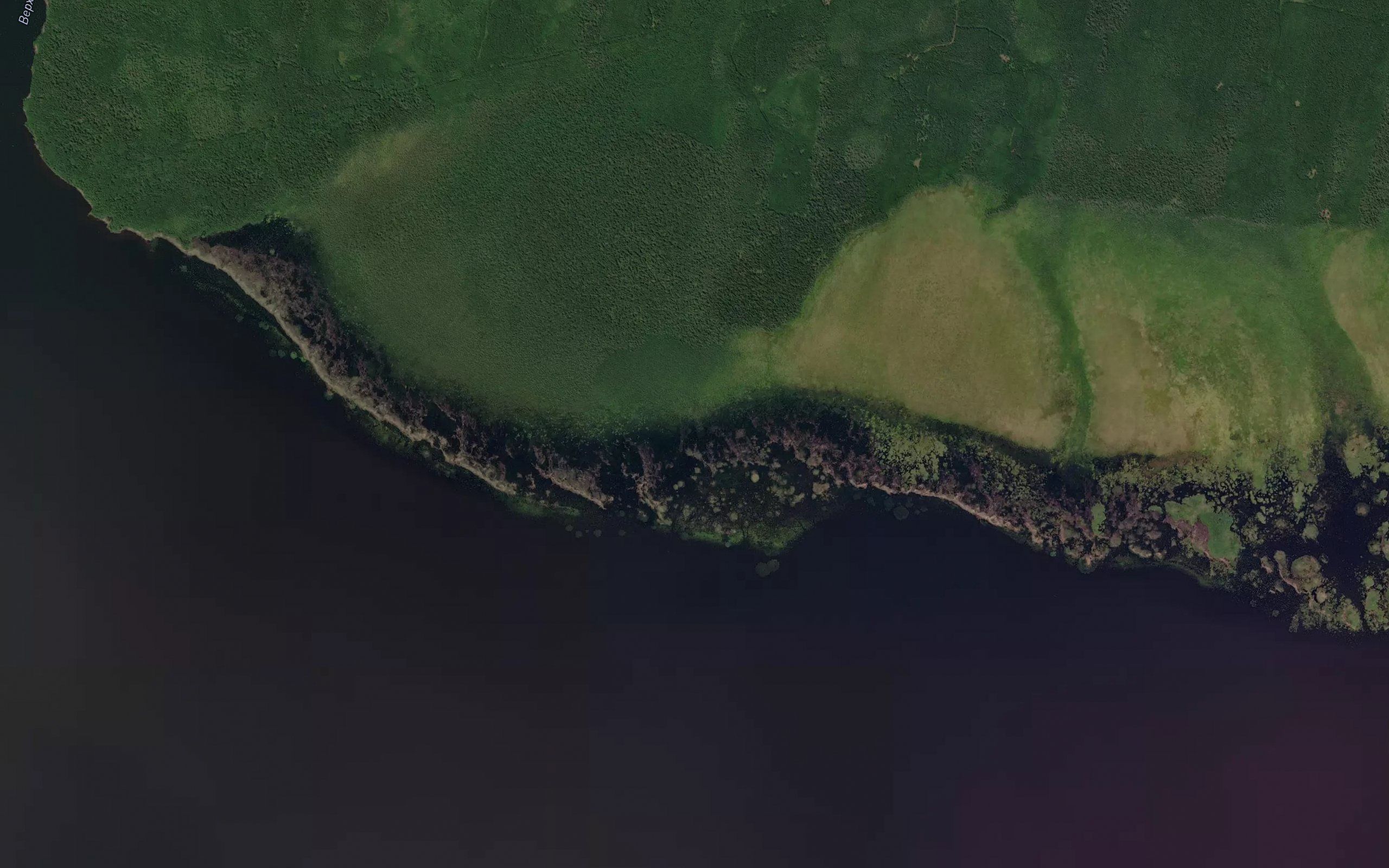Osinovka