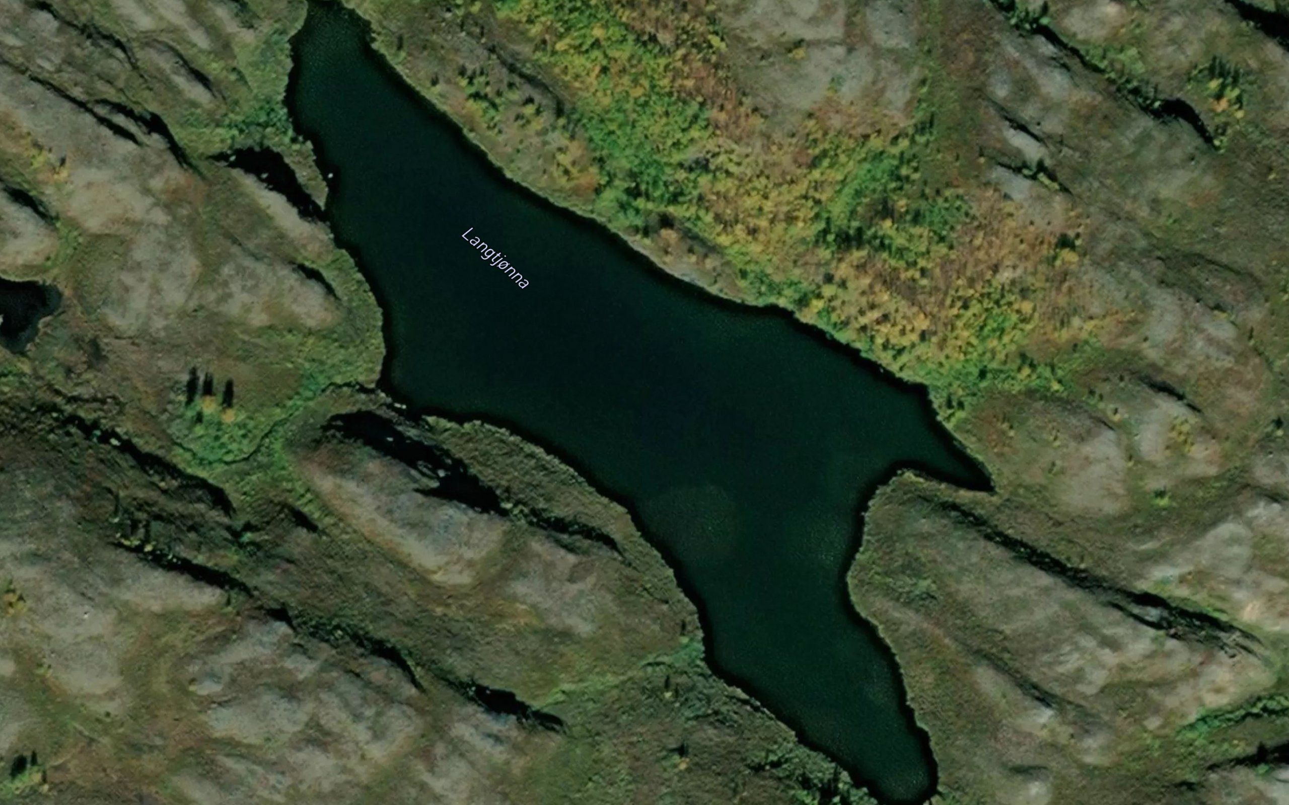 Langtjonna
