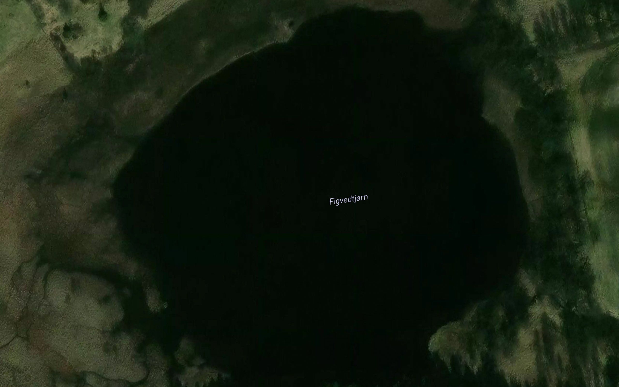 Figvedtjorn