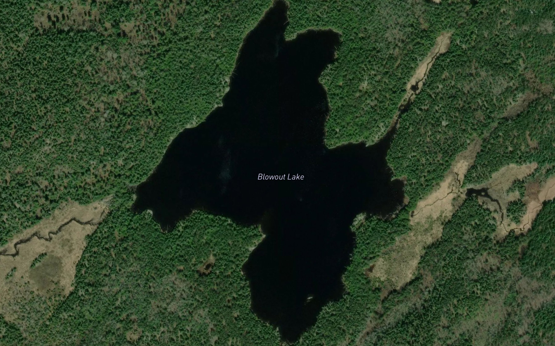 Satellite map of the Blowout Lake