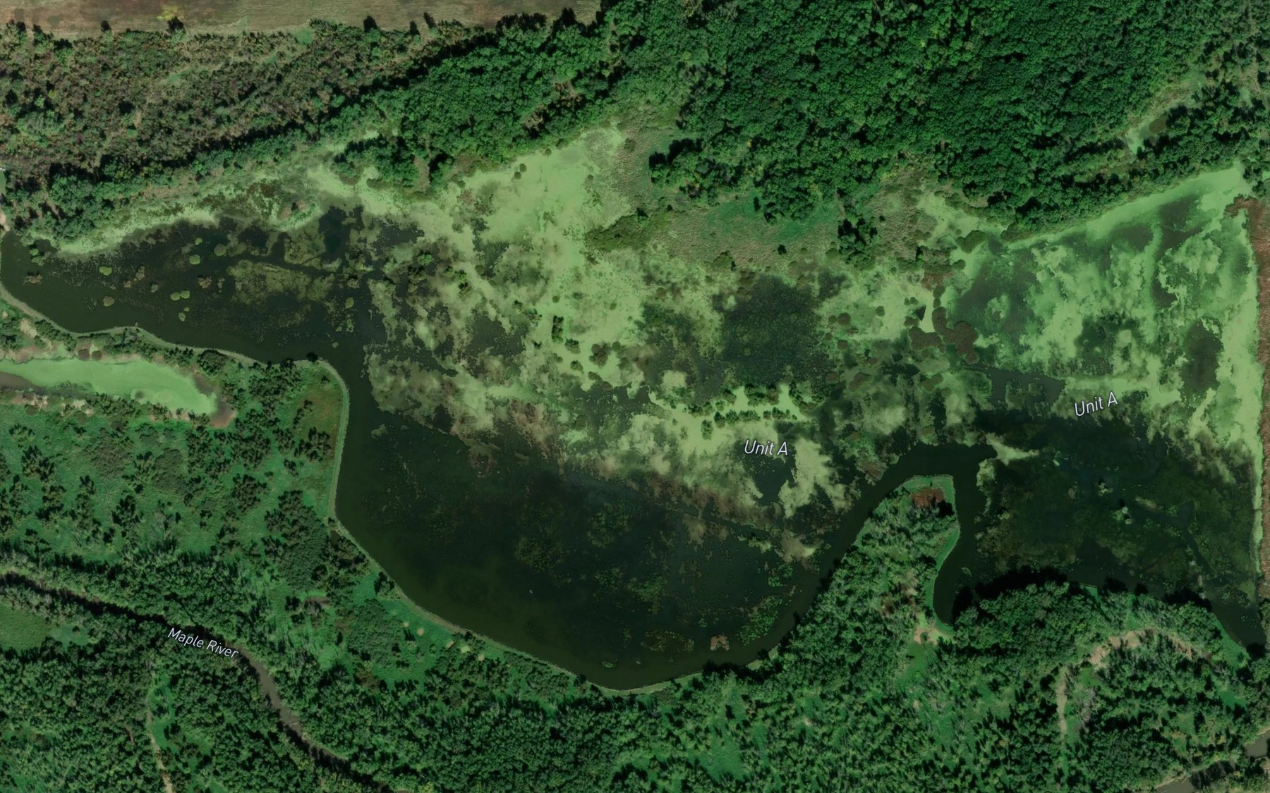 Satellite map of the Collier Creek
