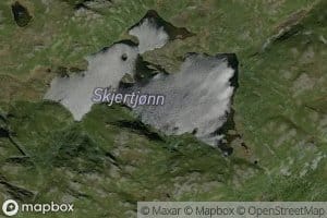 Skjertjorn
