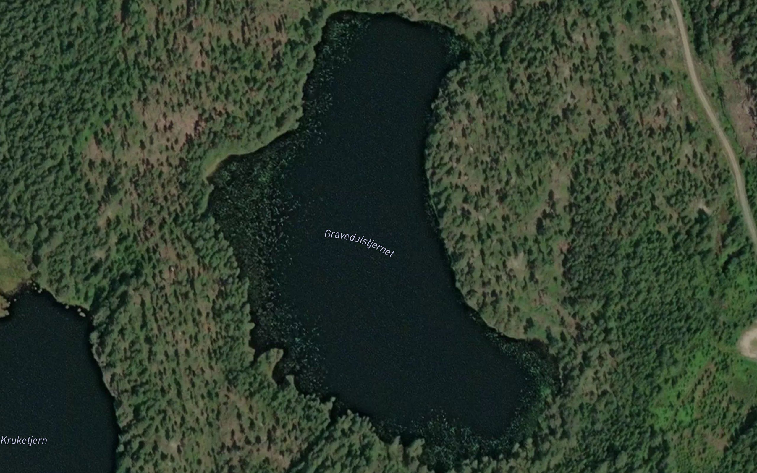 Gravedalstjernet