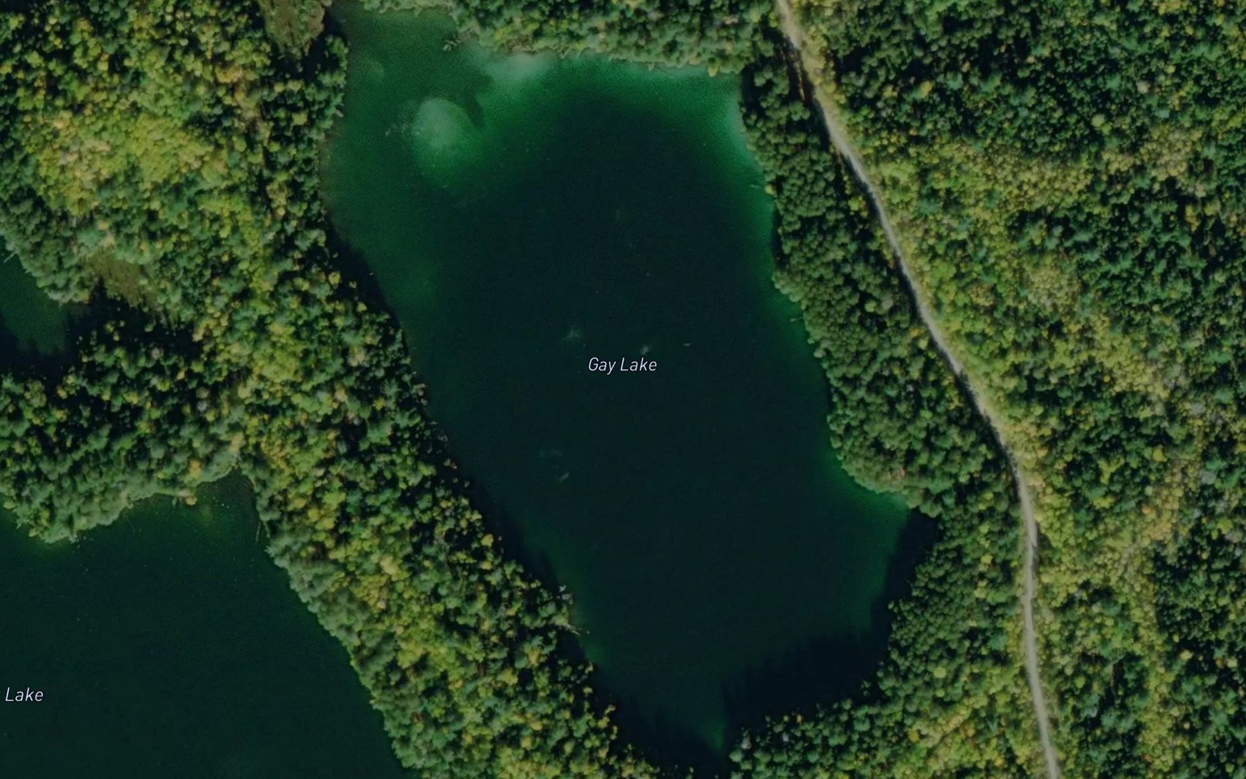 Satellite map of the Gay Lake