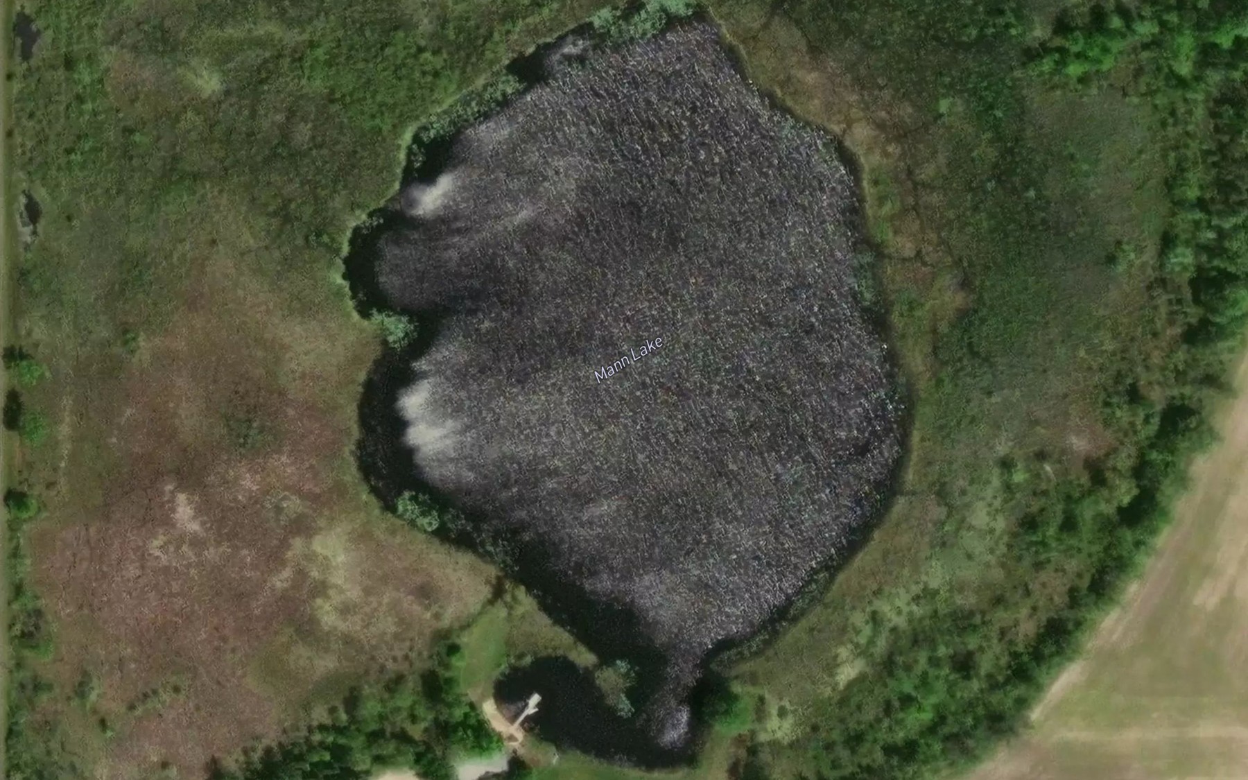 Satellite map of the Mann Lake
