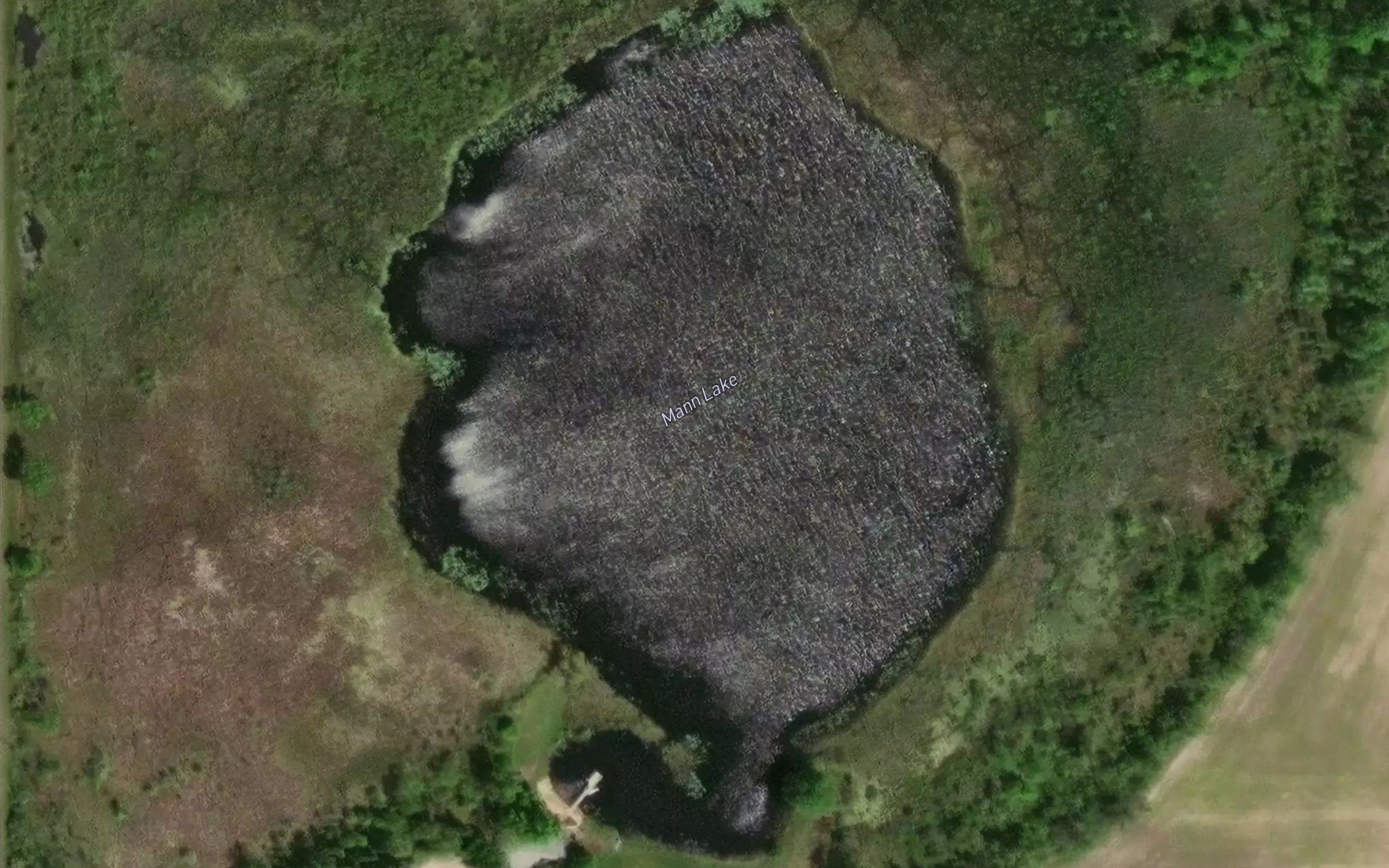 Mann Lake