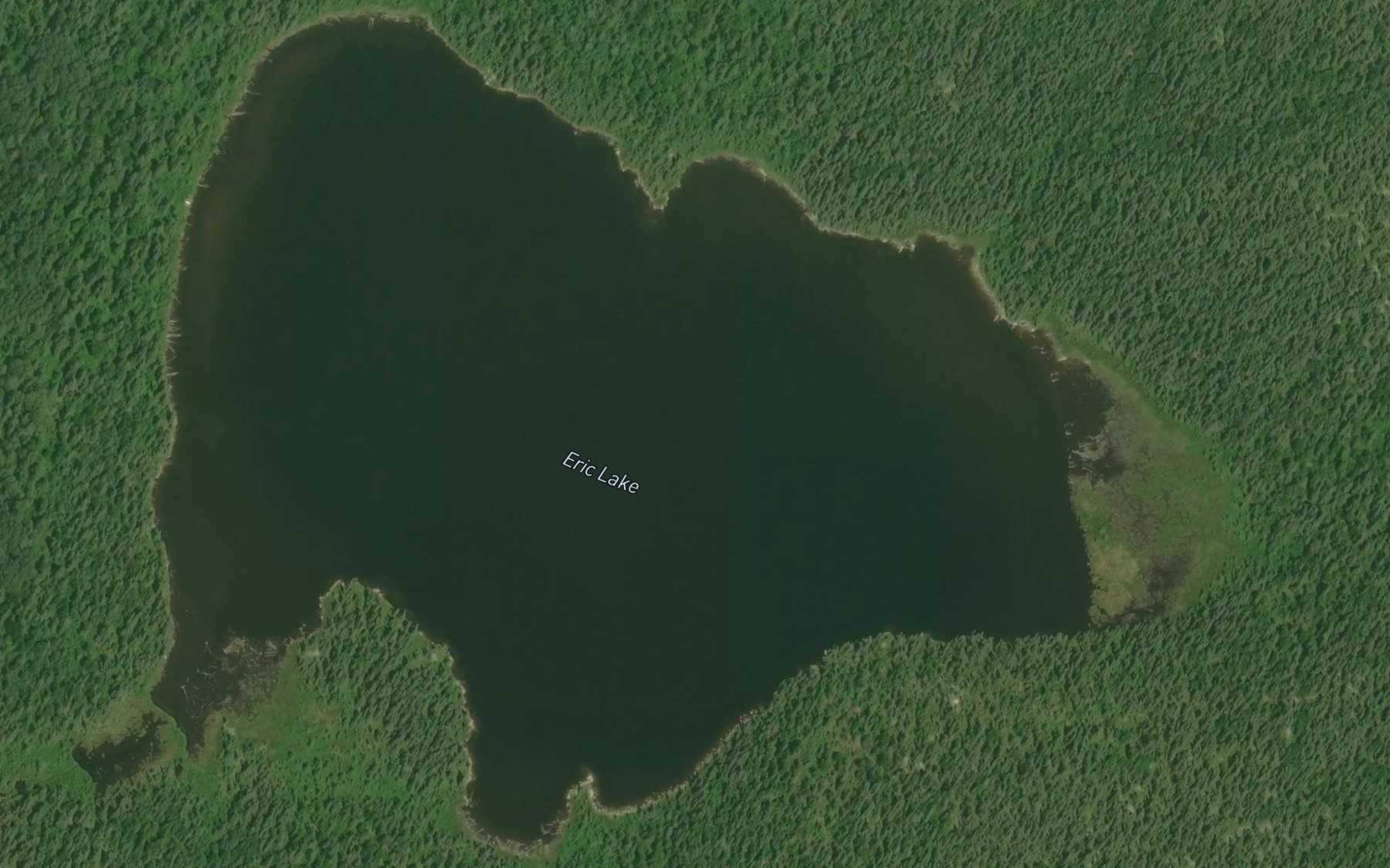 Satellite map of the Eric Lake