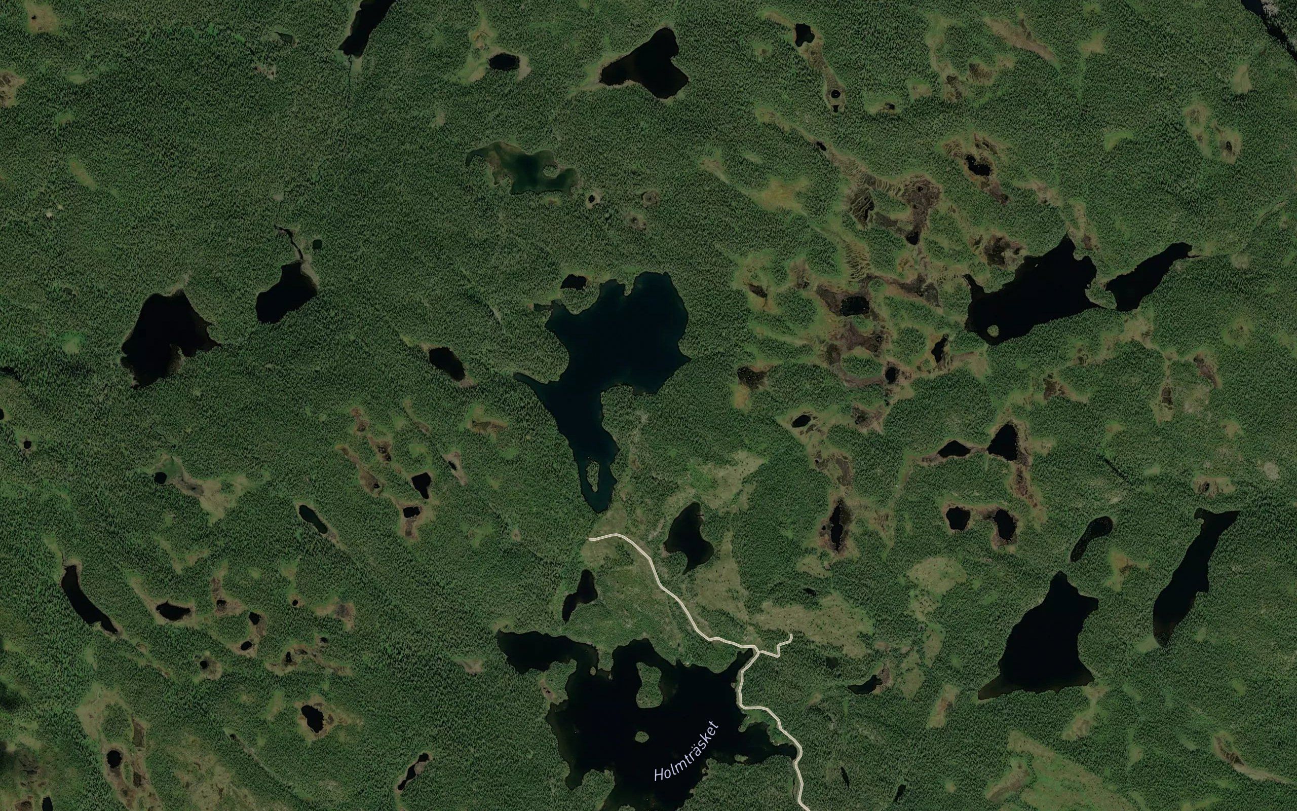 Holmtrasket