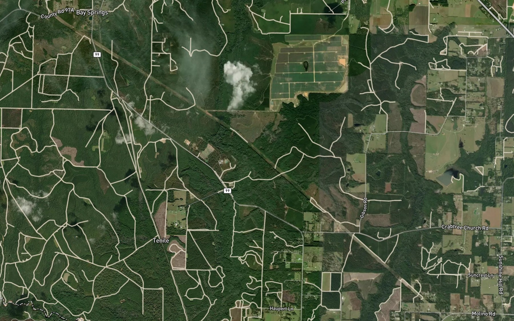 Satellite map of the Pond Branch