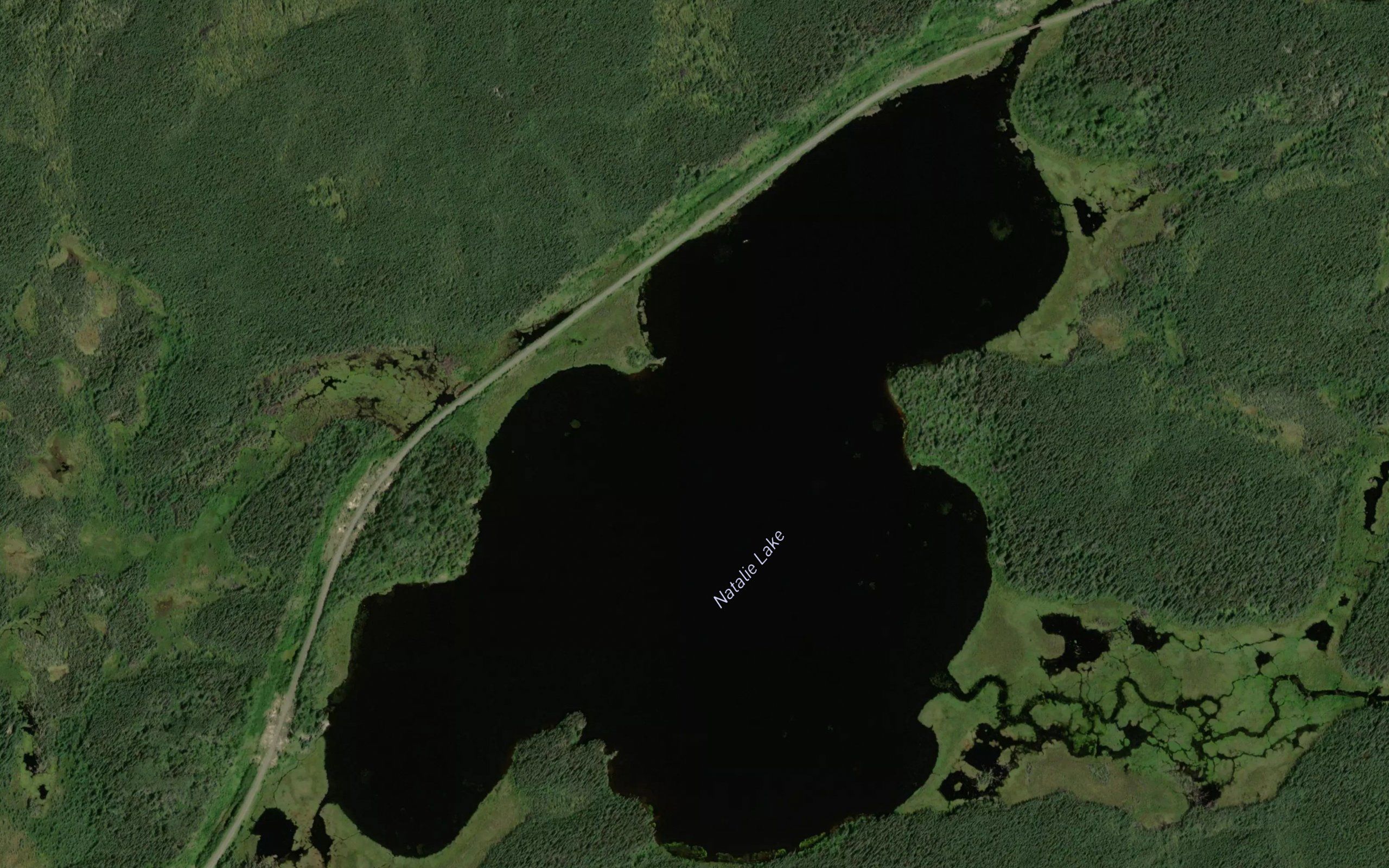 Natalie Lake