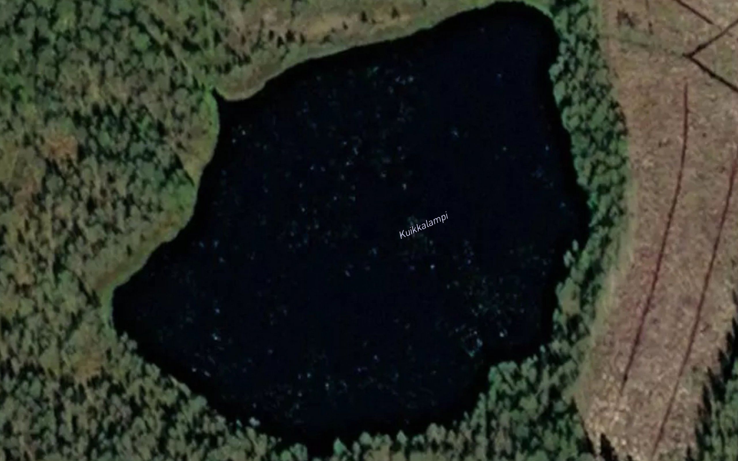 Kuikkalampi