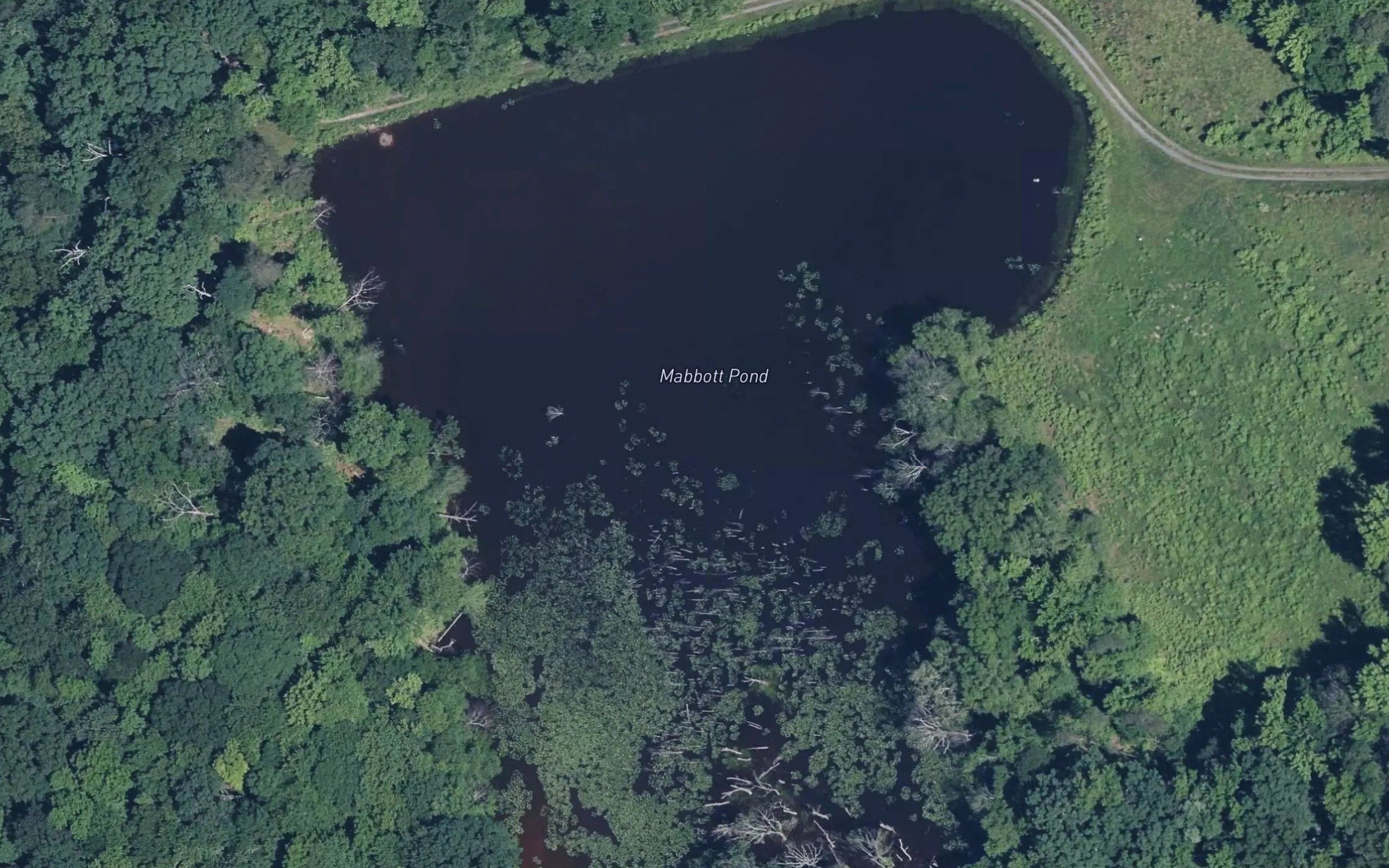 Mabbott Pond