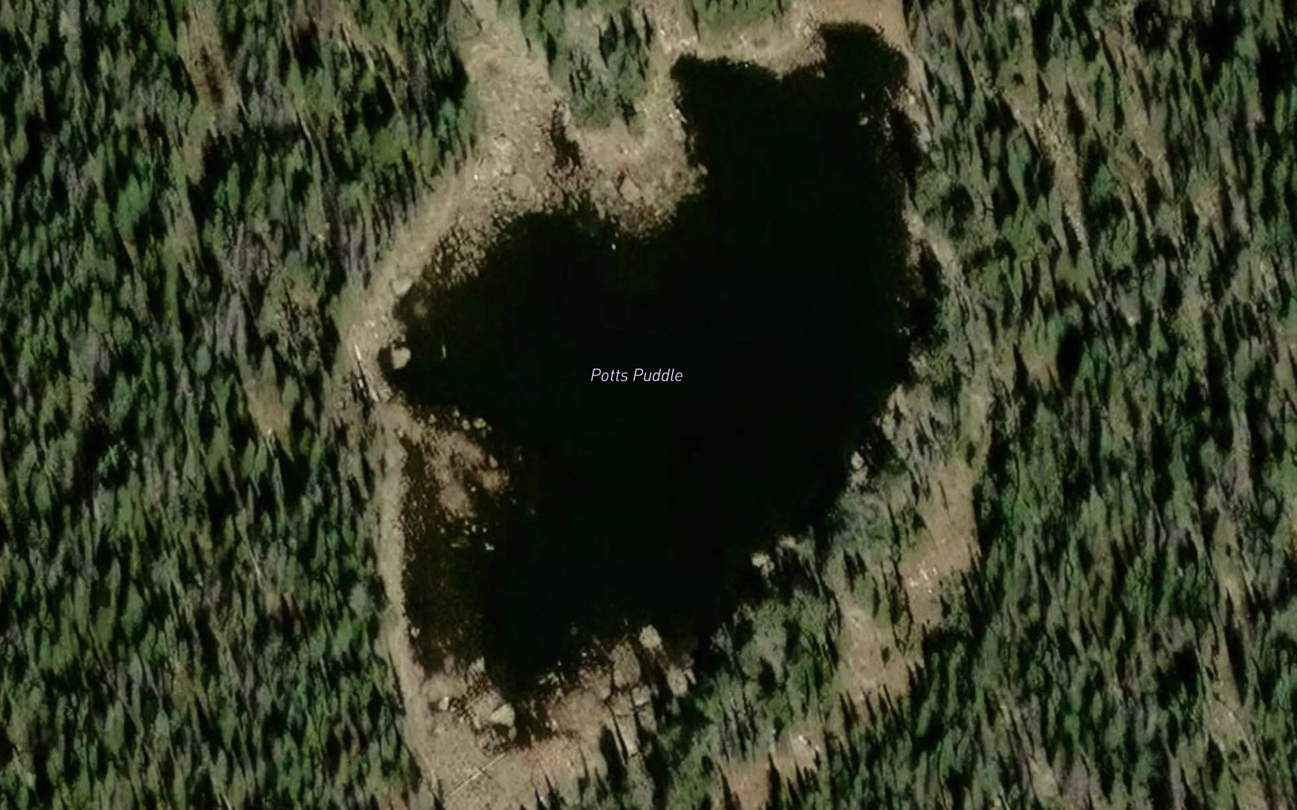 Potts Puddle