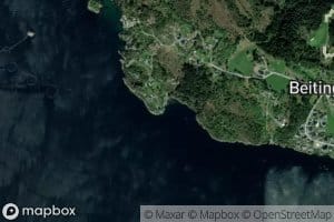Beitingsvika