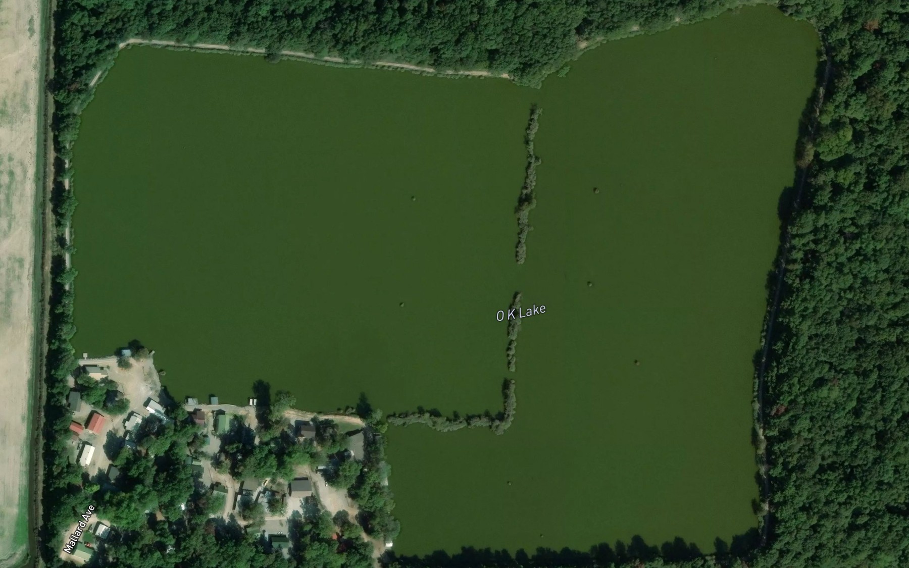 Satellite map of the O K Lake