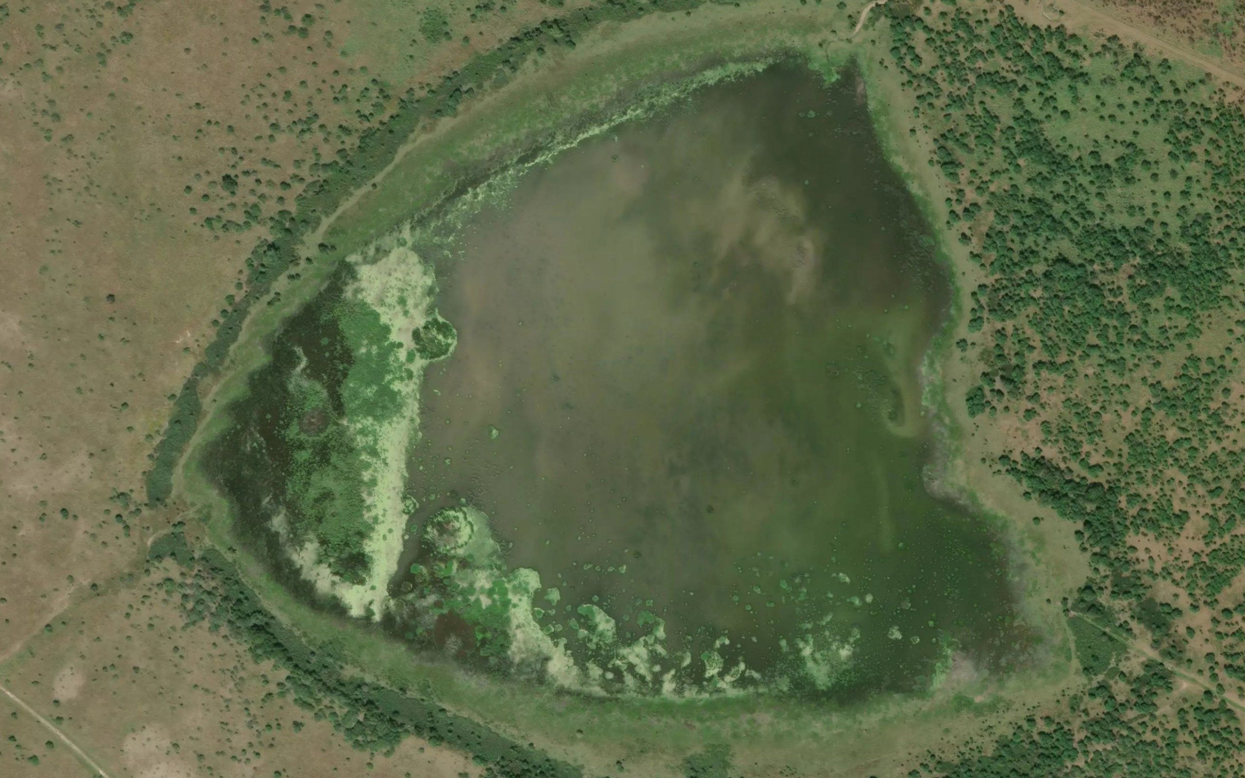 South Saint Nicholas Lake