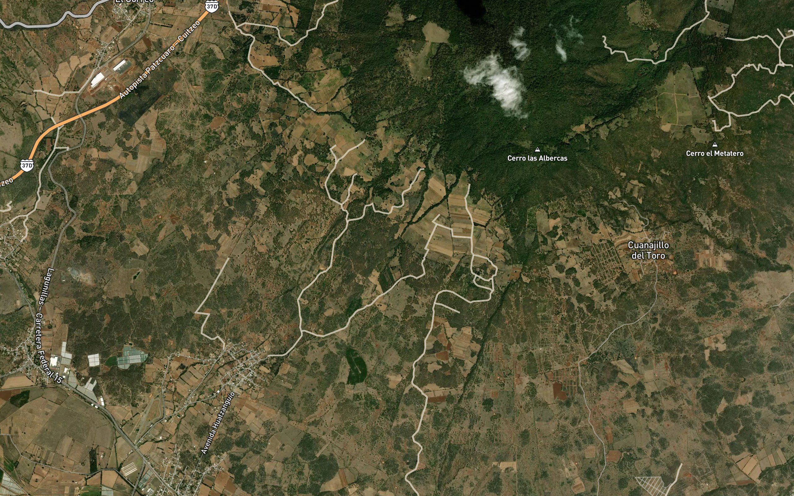 Barranca El Asilo