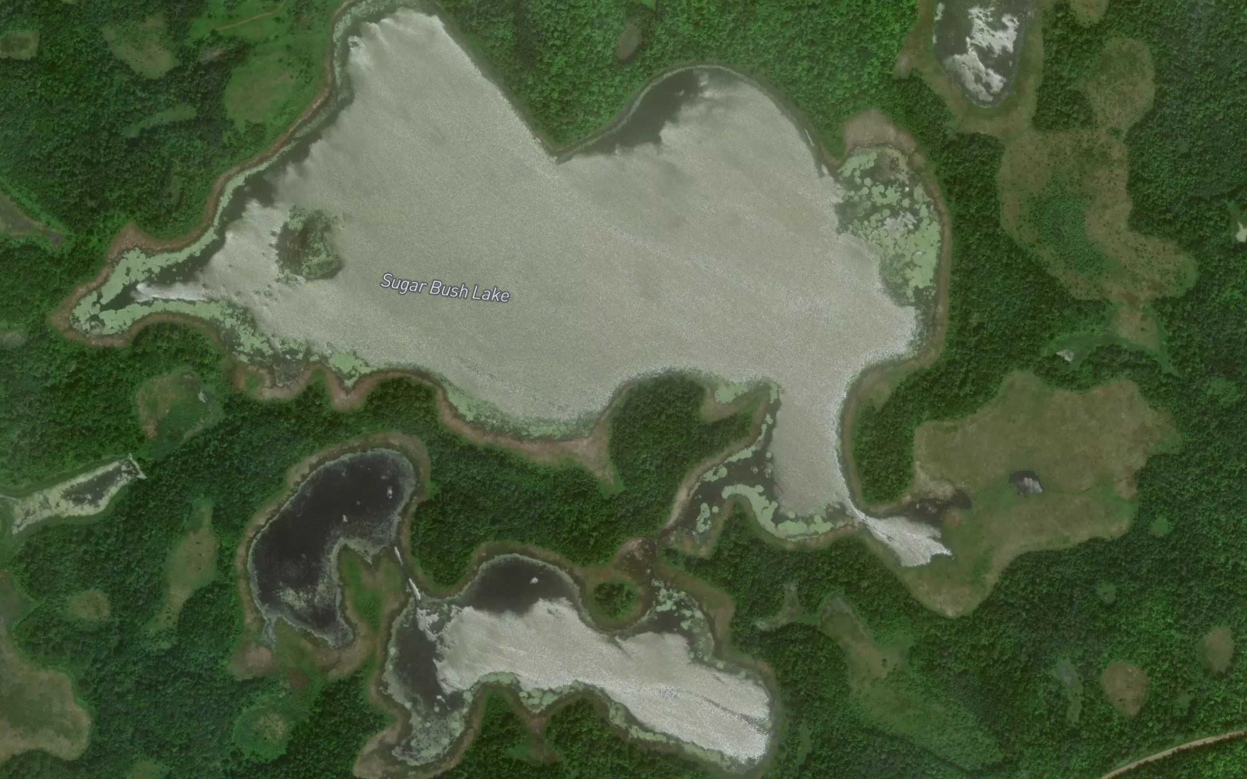 Sugar Bush Lake