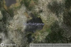 Storfisktjorna