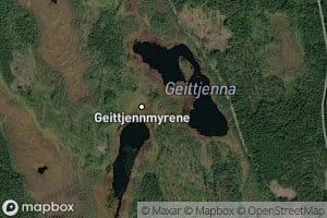 Geittjerna