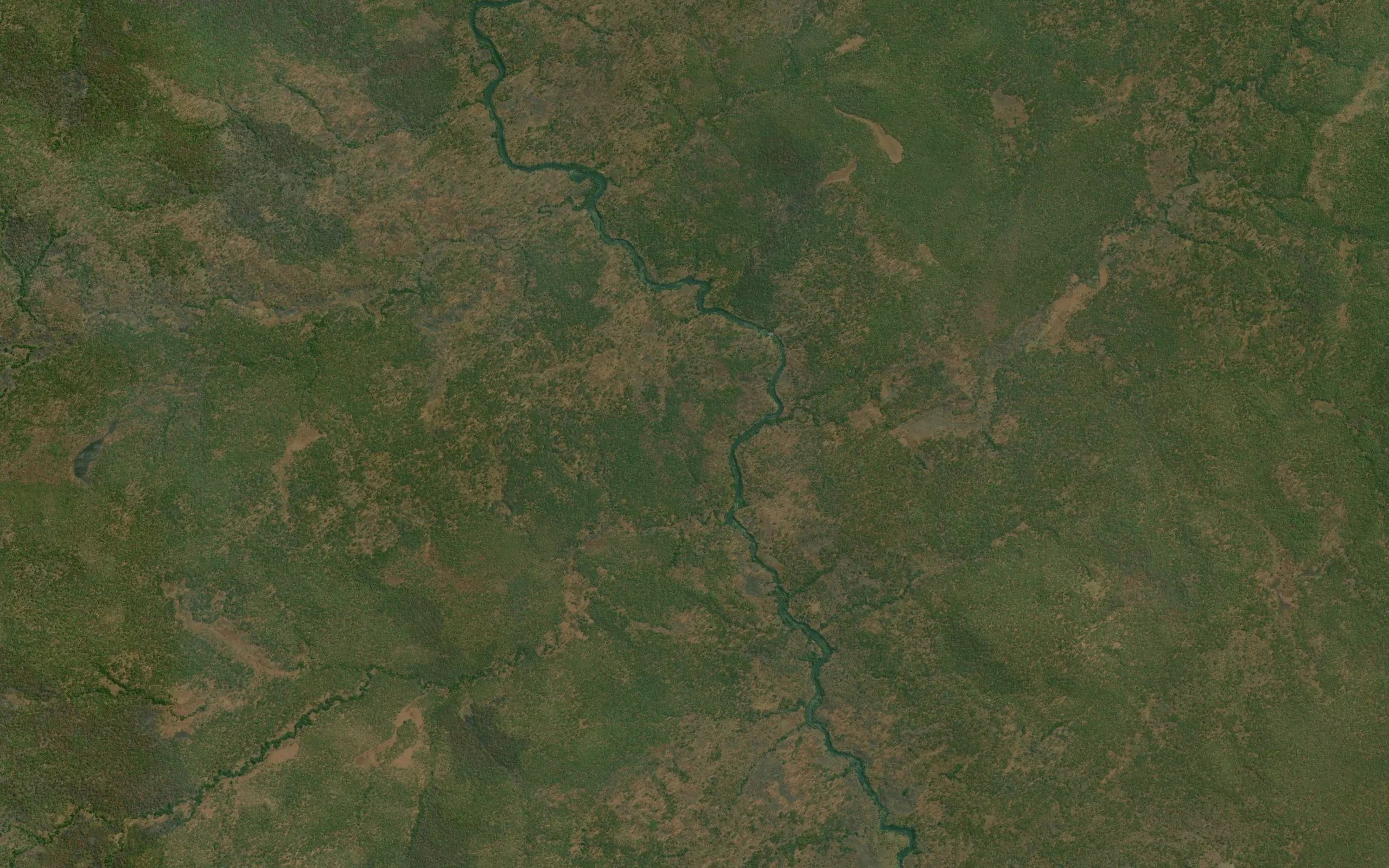 Kansaka