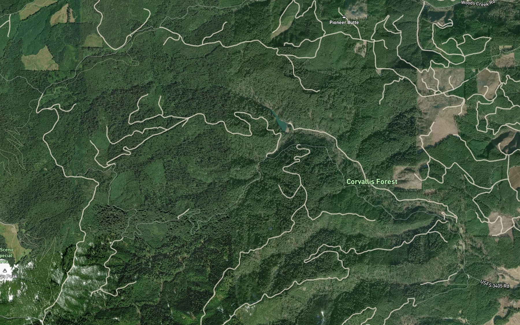 Satellite map of the Connection Creek