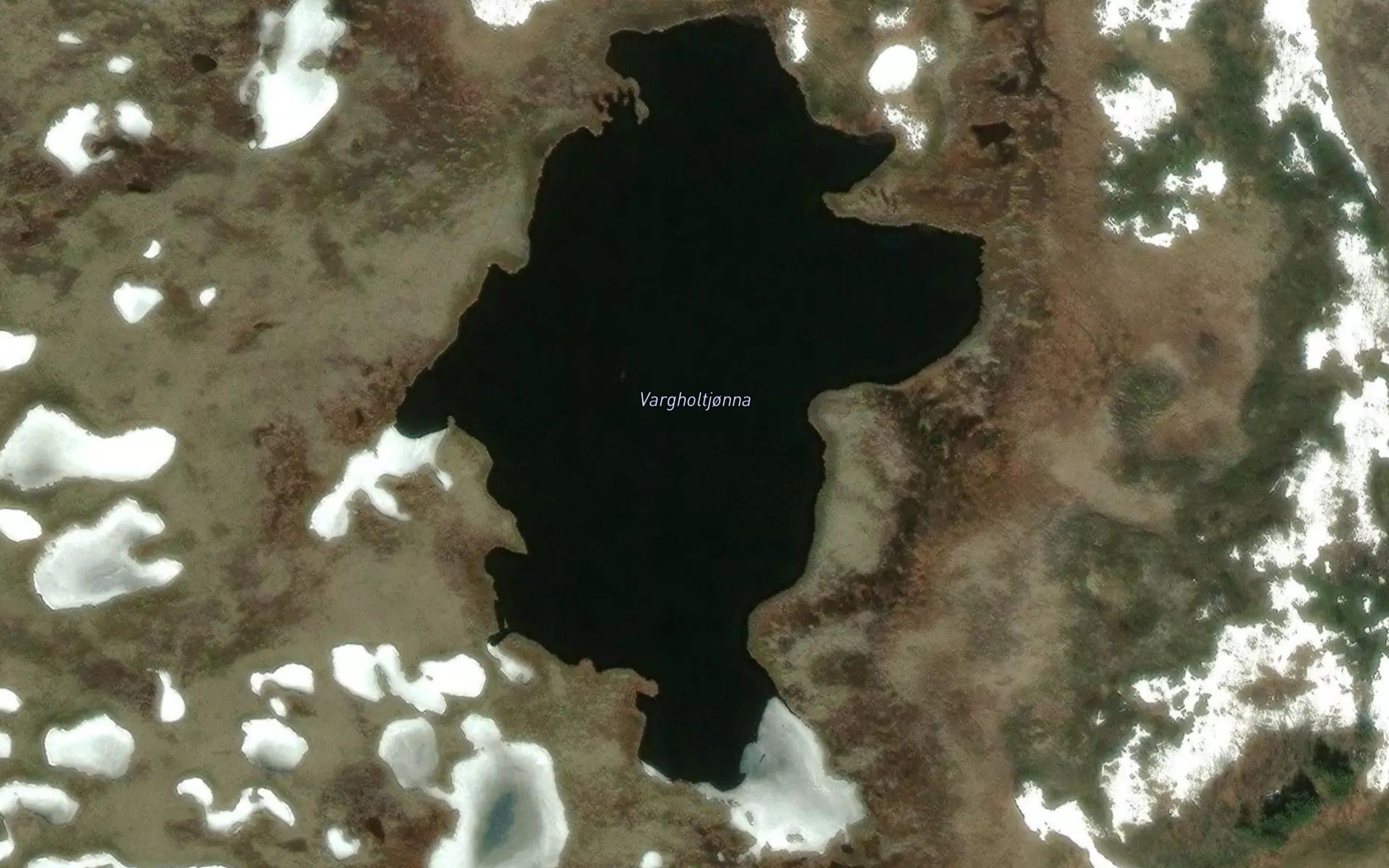 Vargholtjonna
