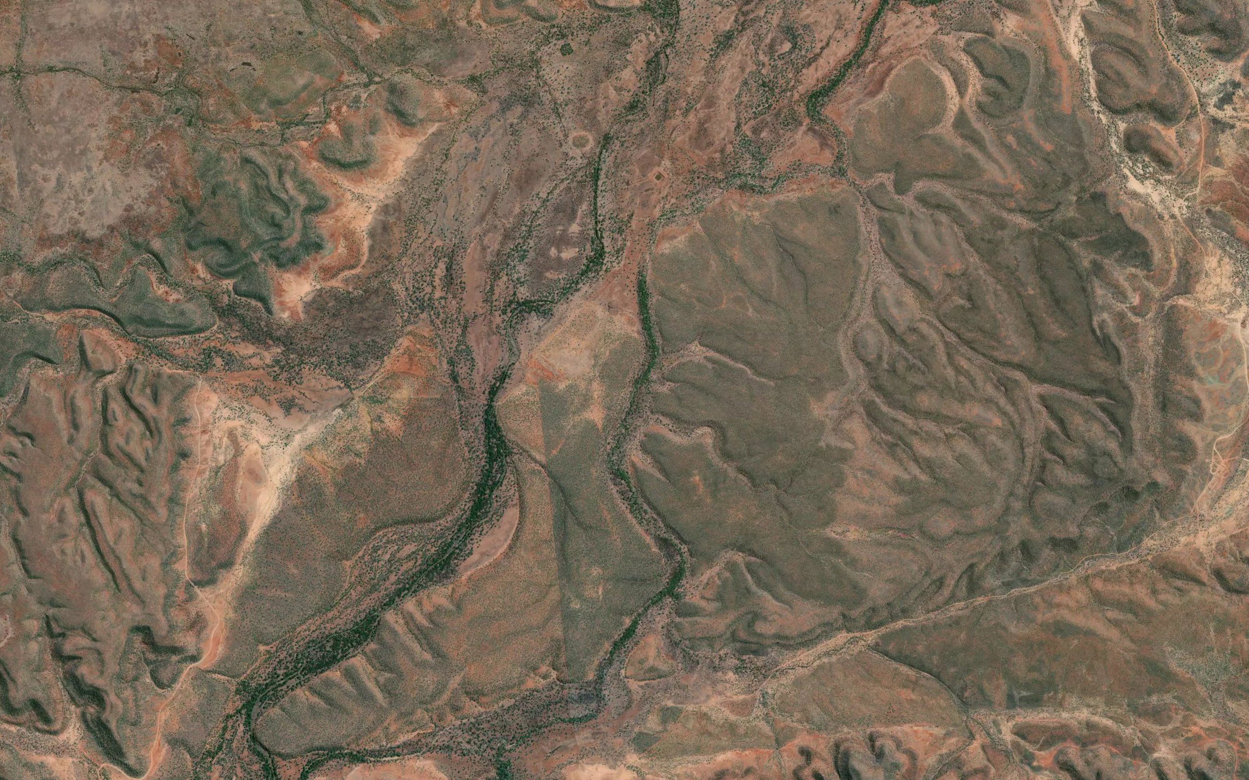 Dingo Creek