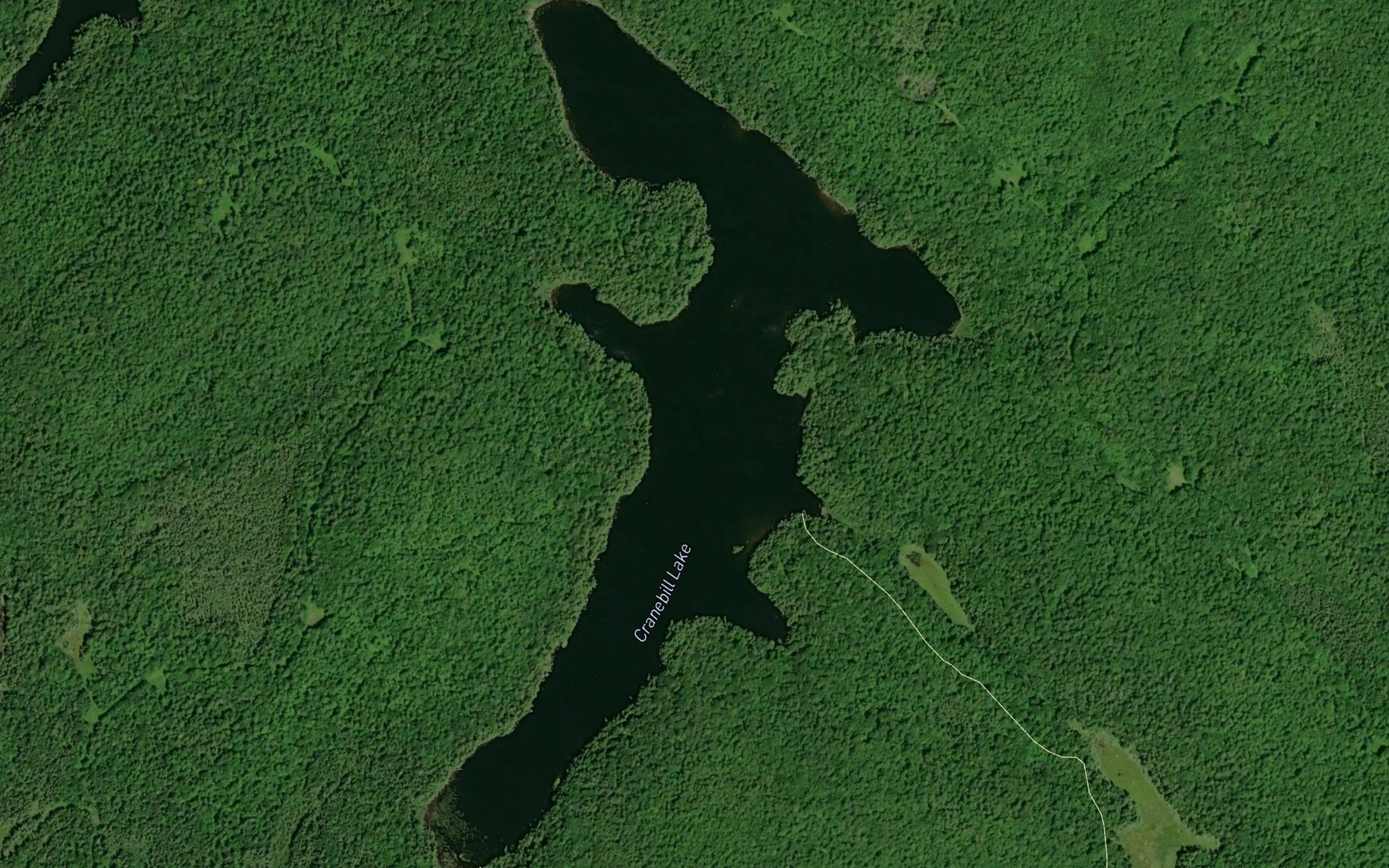 Satellite map of the Cranebill Lake