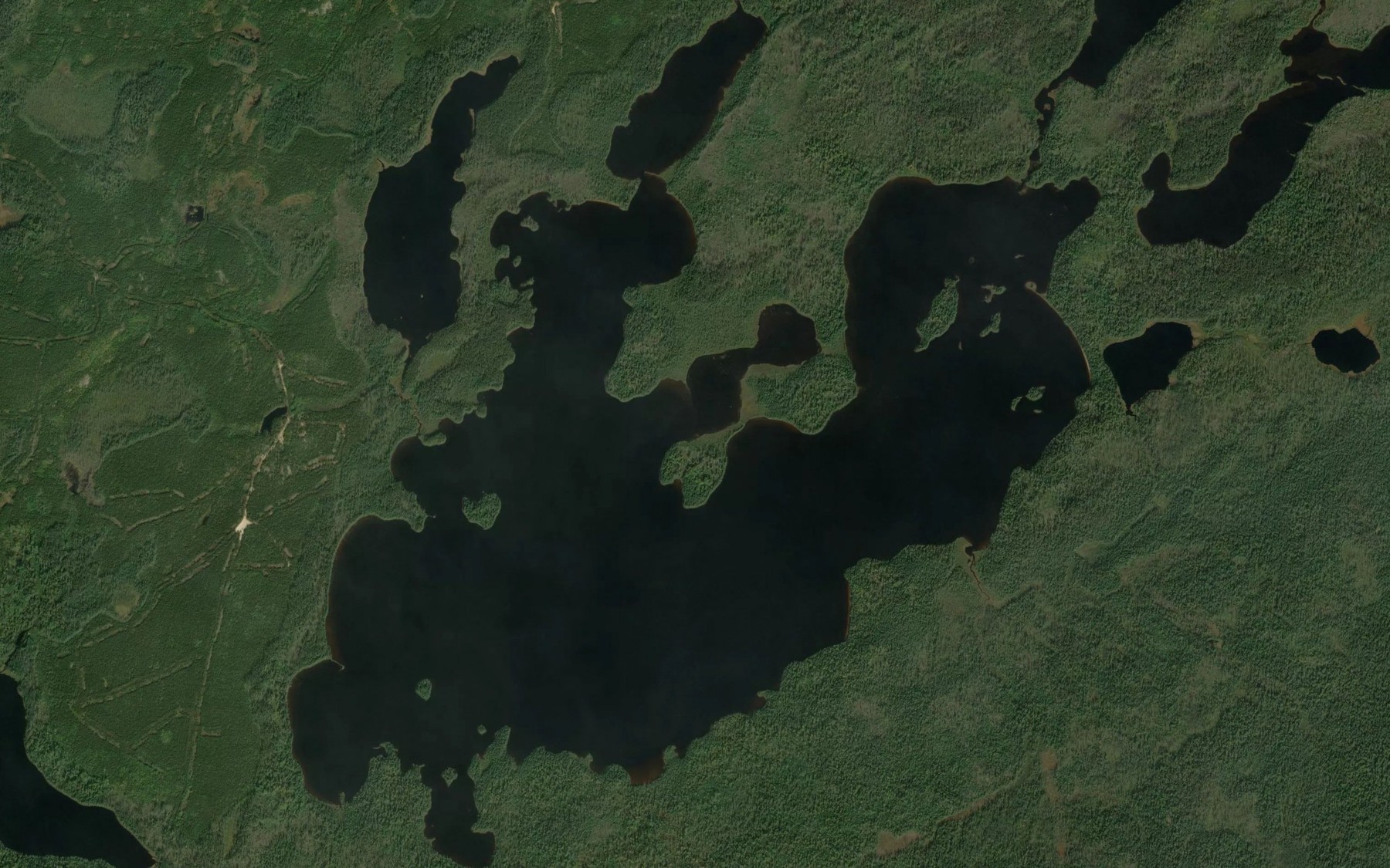 Satellite map of the Sassafras Lake