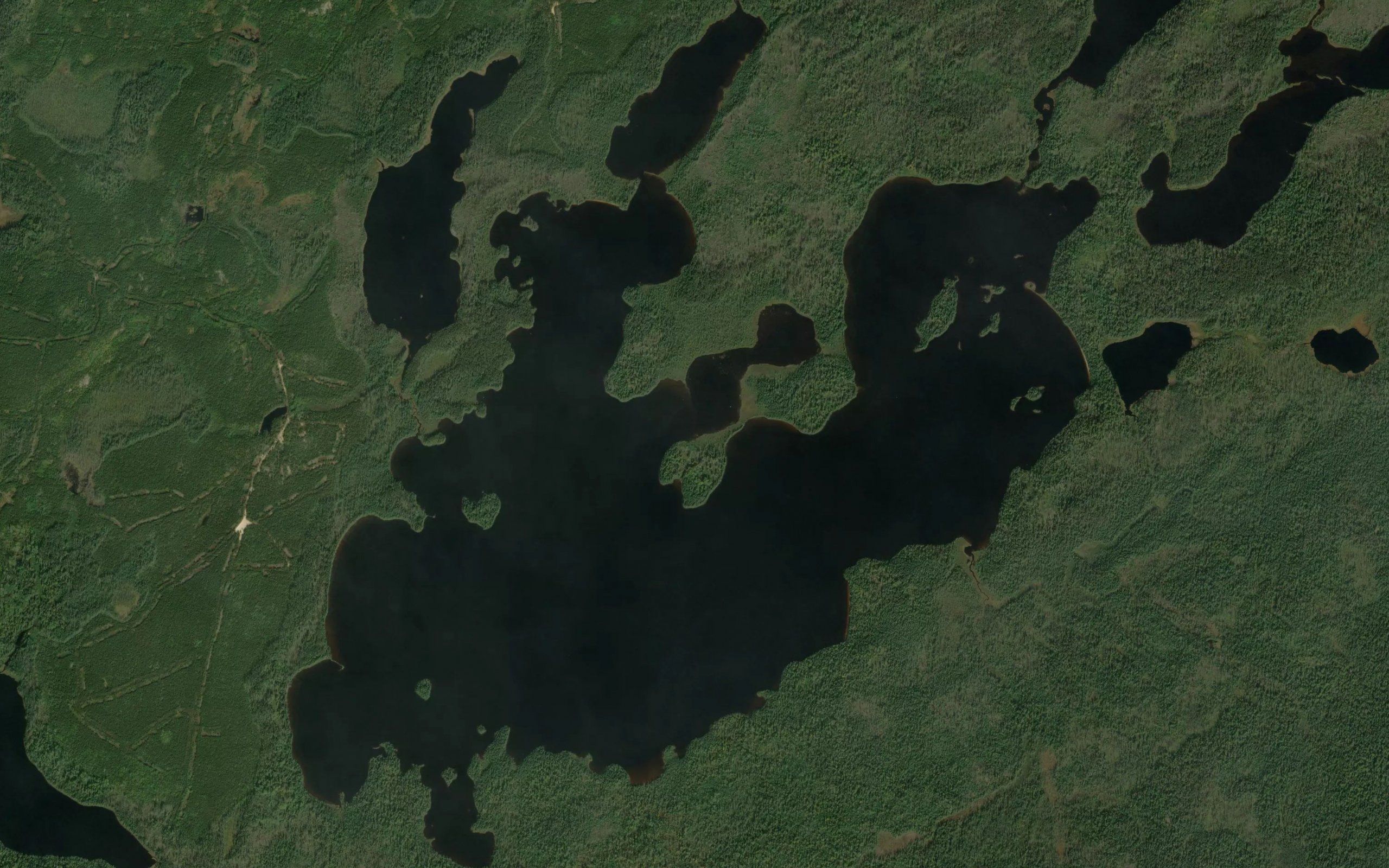 Sassafras Lake