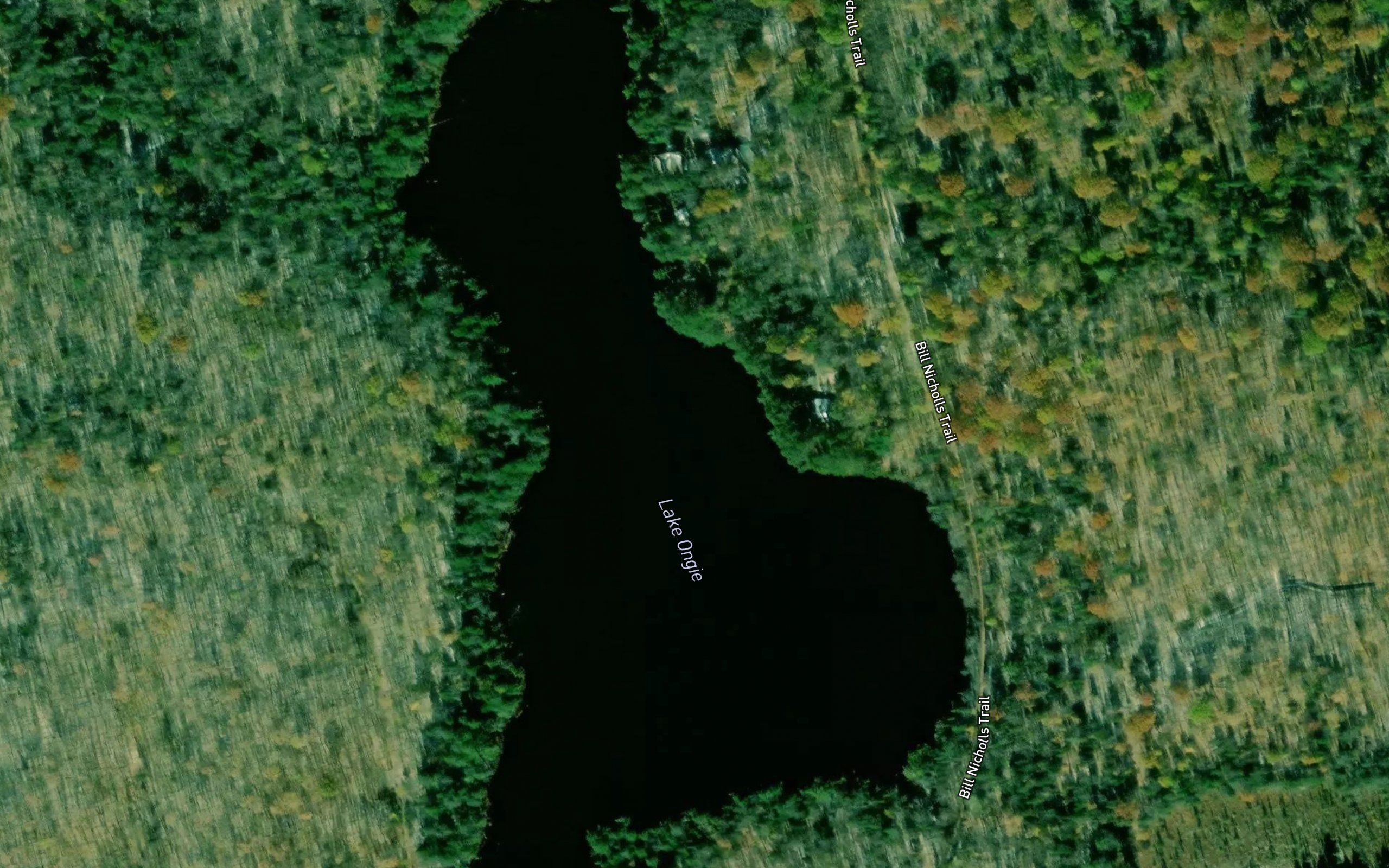 Lake Ongie