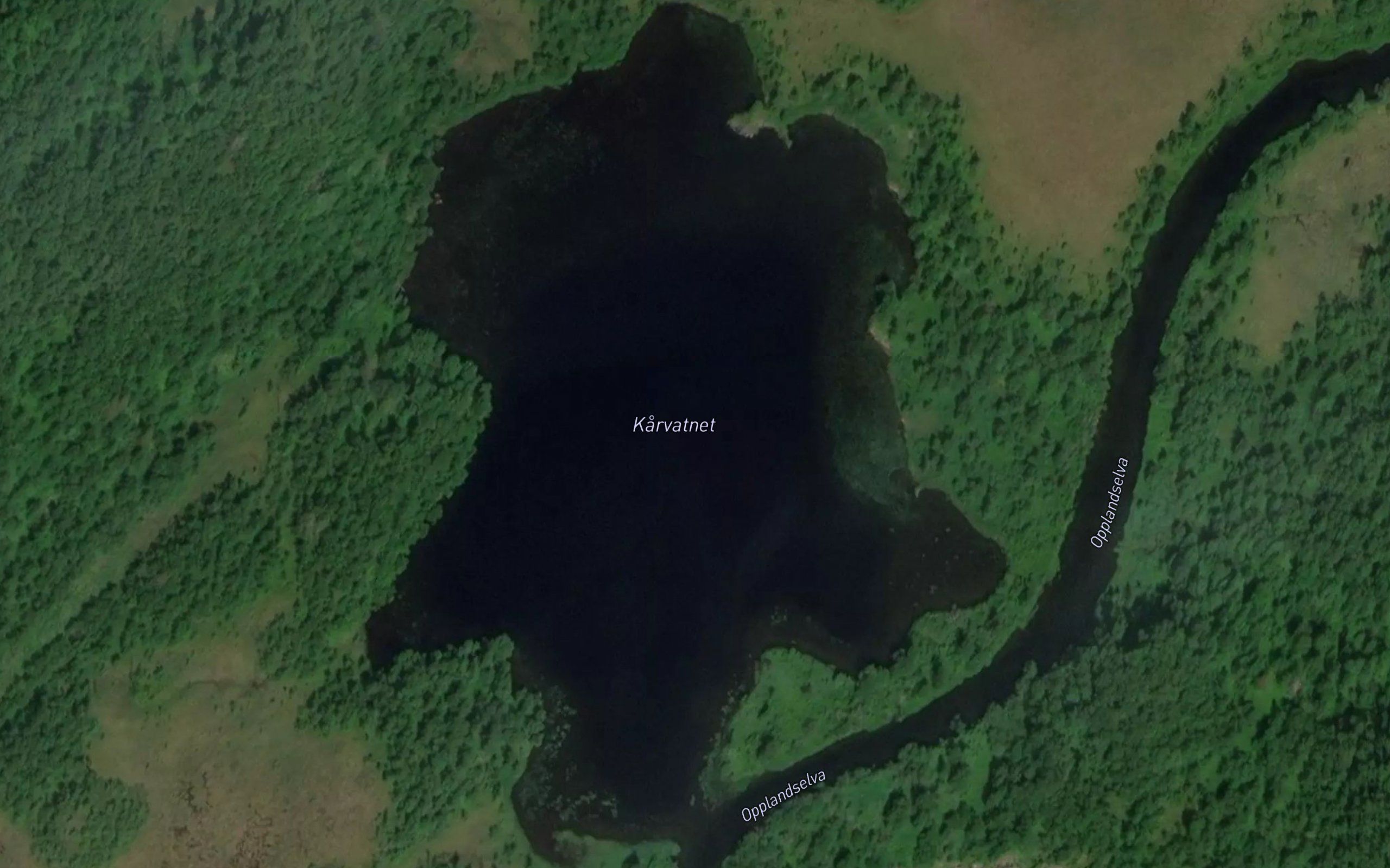 Konvatnet