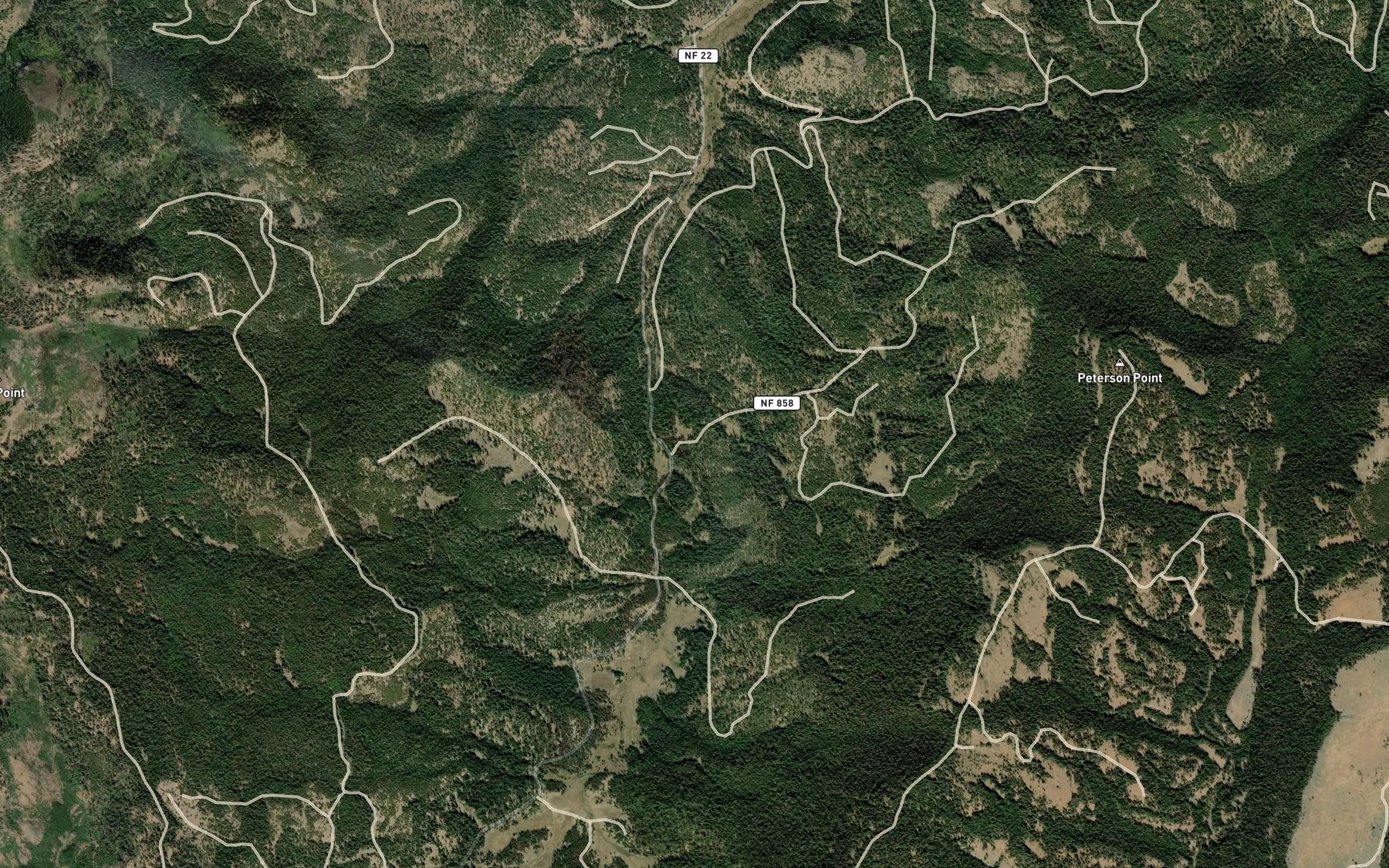 Satellite map of the Division Spring