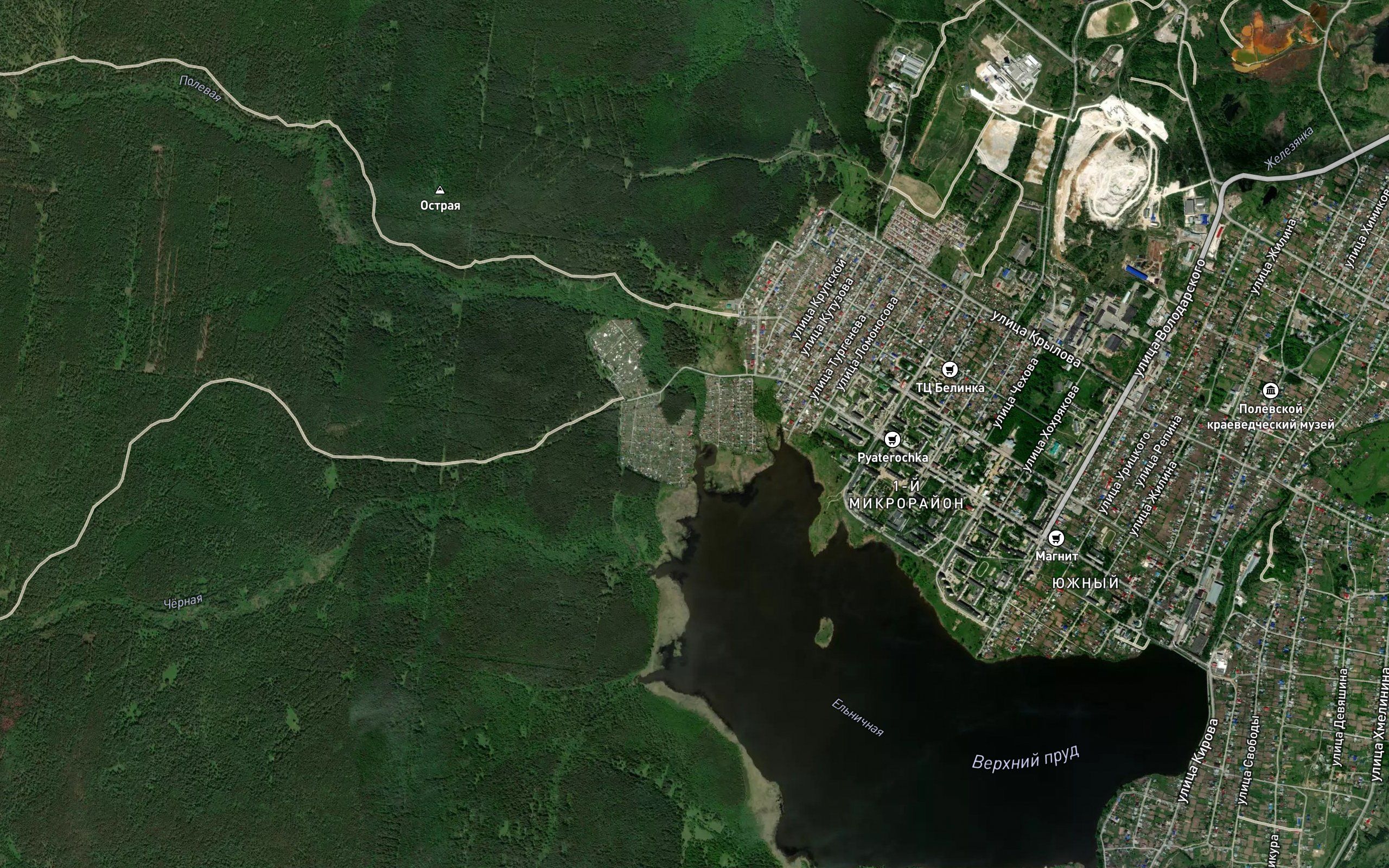 Polevaya