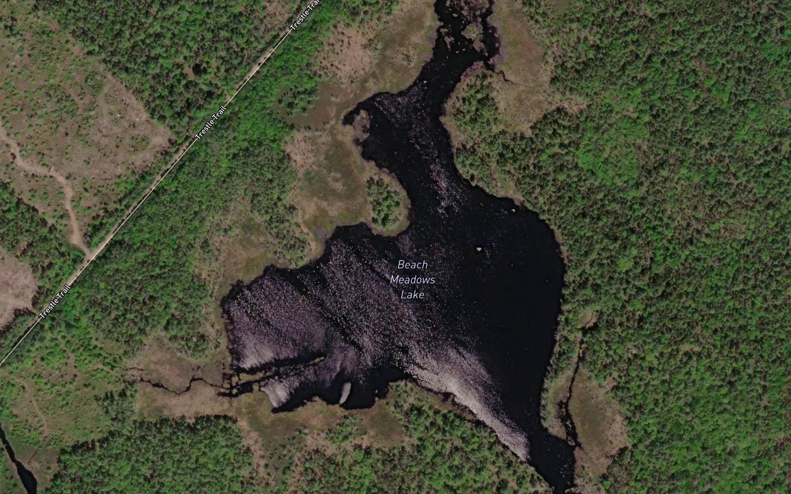 Beach Meadows Lake