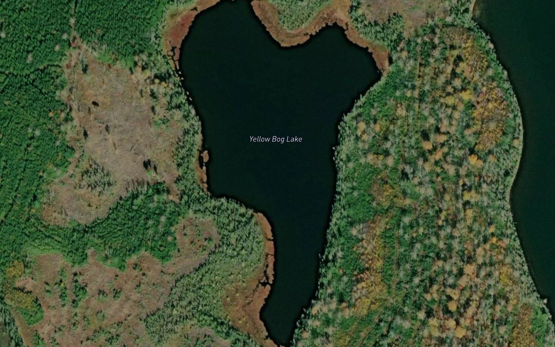 Satellite map of the Yellow Bog Lake