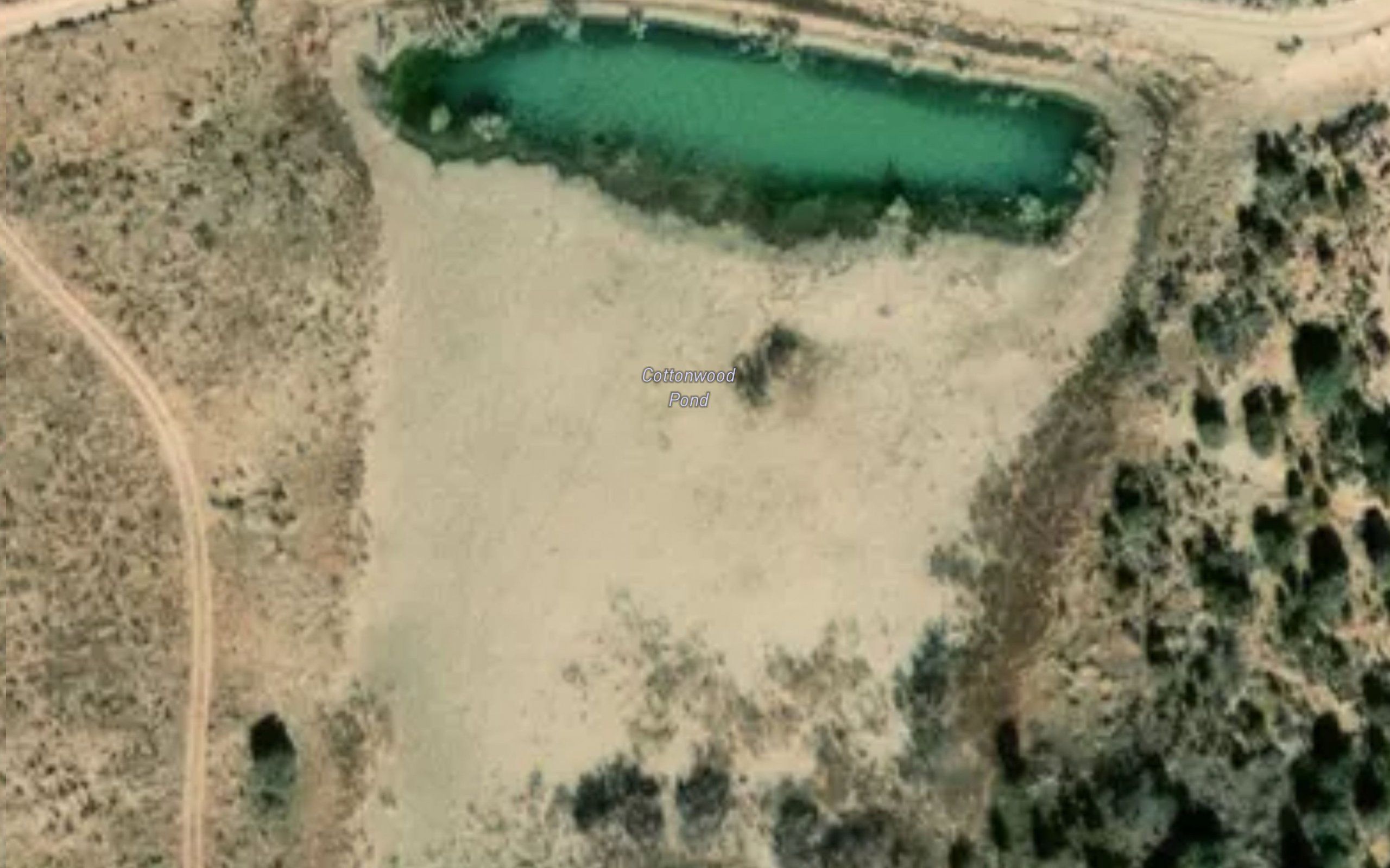 Cottonwood Pond