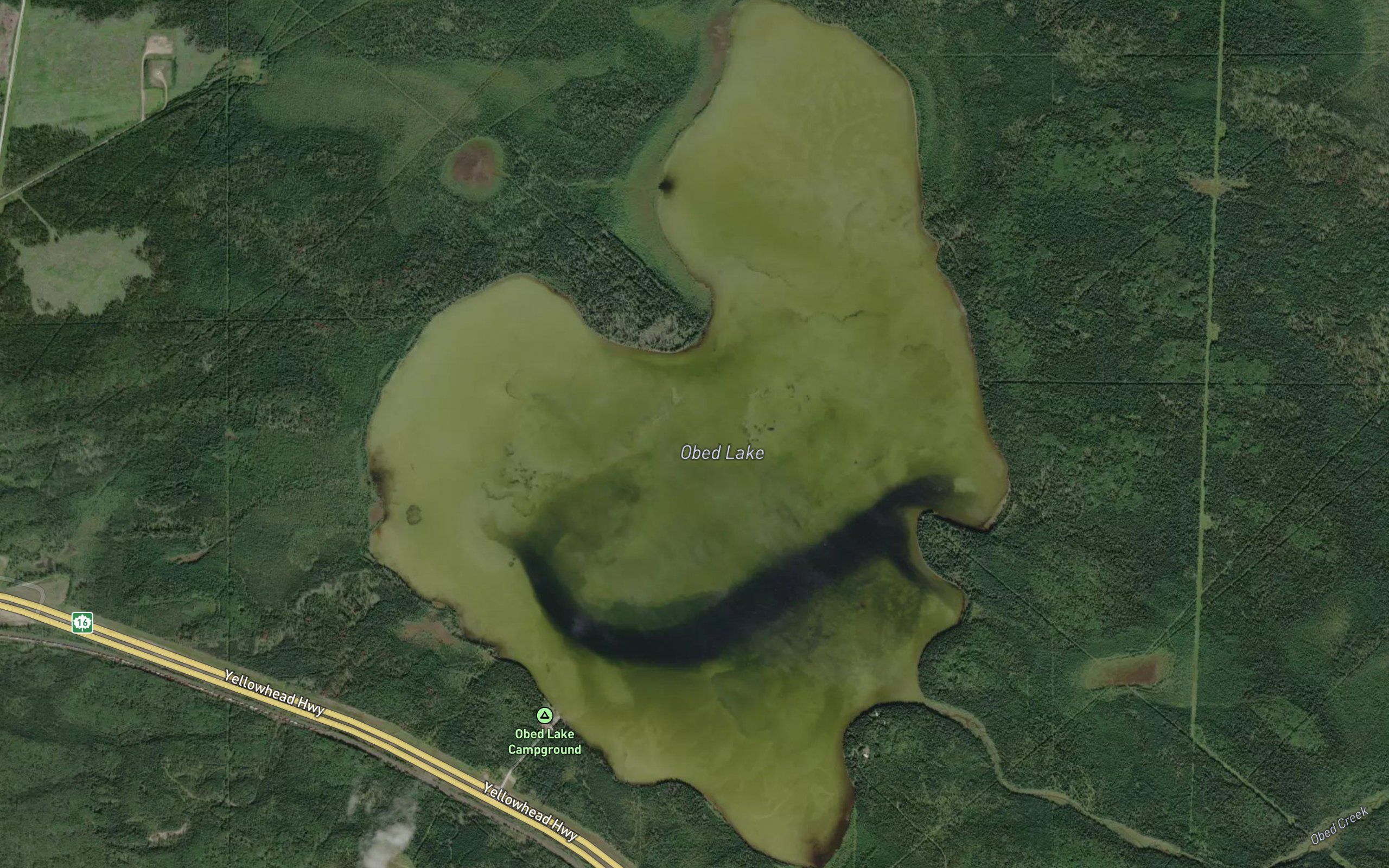 Obed Lake