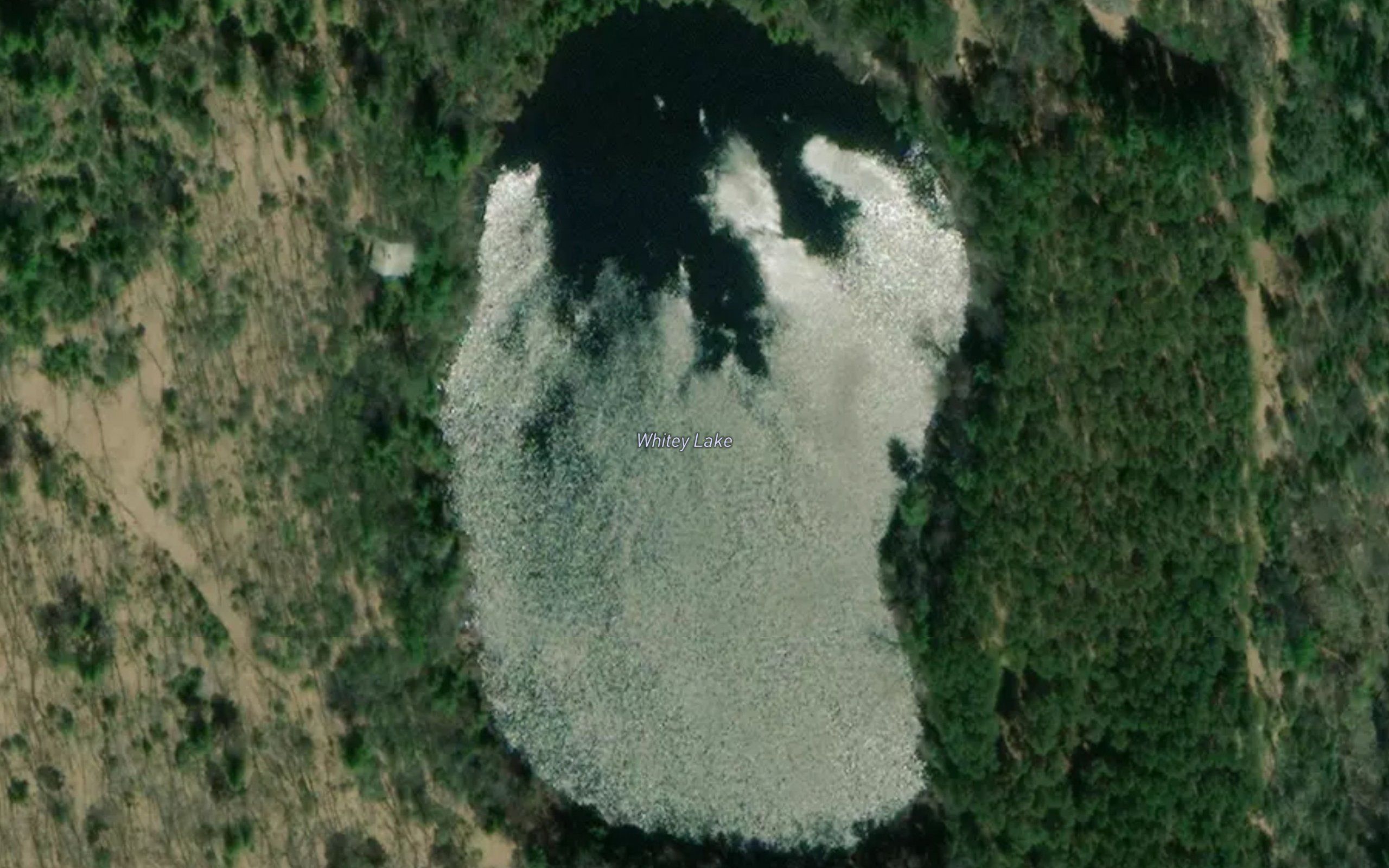 Whitey Lake