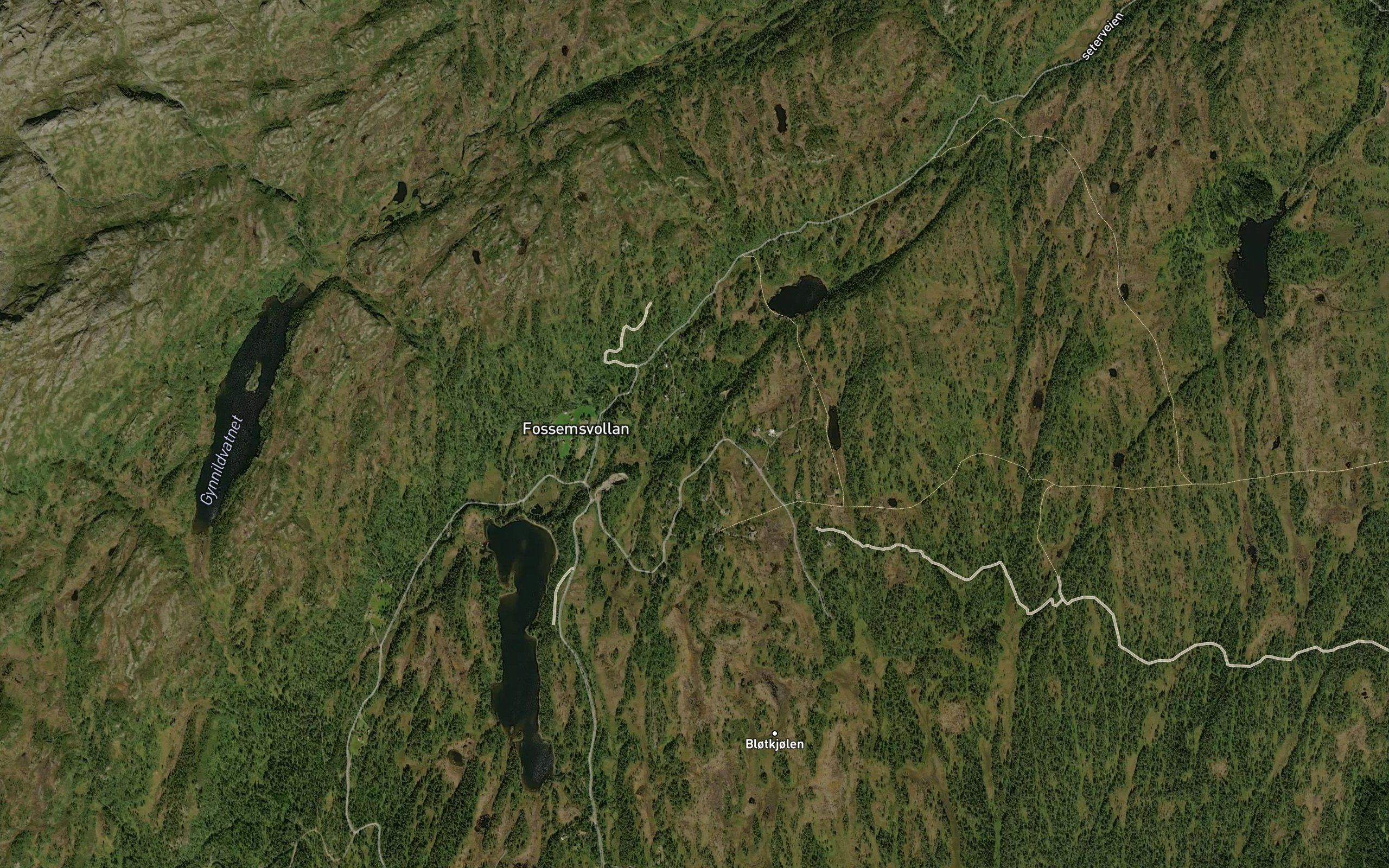 Svarttjornbekken