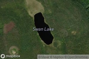 Swan Lake