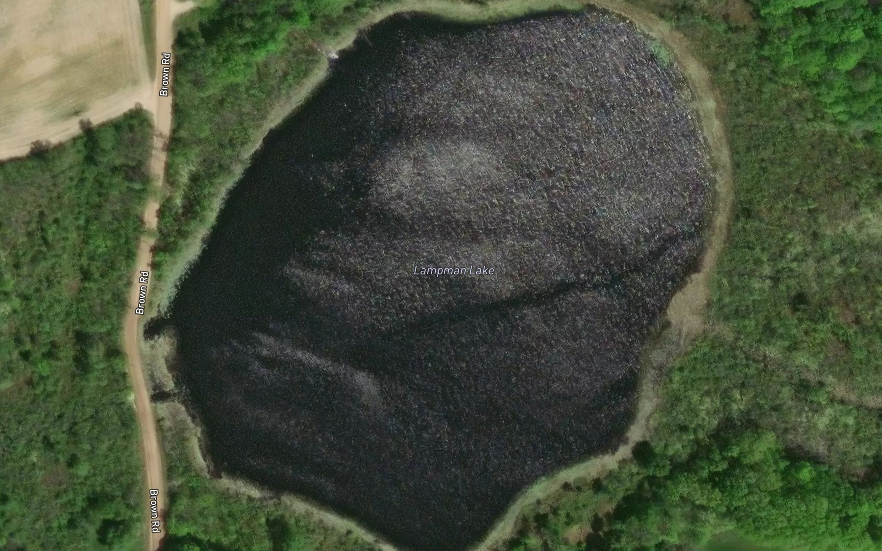 Satellite map of the Lampman Lake
