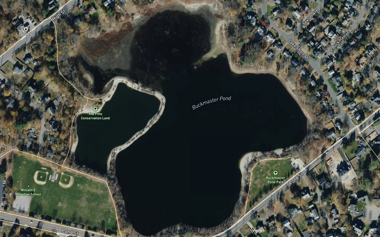 Buckmaster Pond Fishing near Westwood, MA | Fishbox