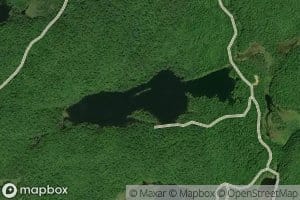 Pine Lake