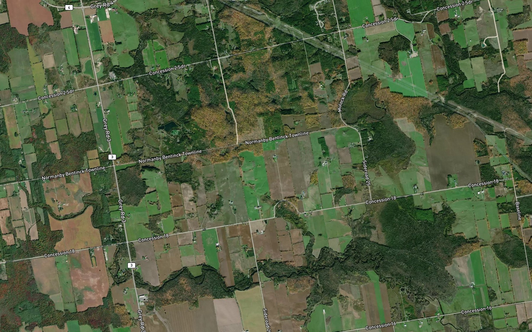 Satellite map of the Allan Park Trout Pond