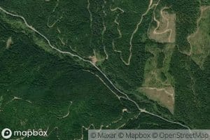 White Pine Creek